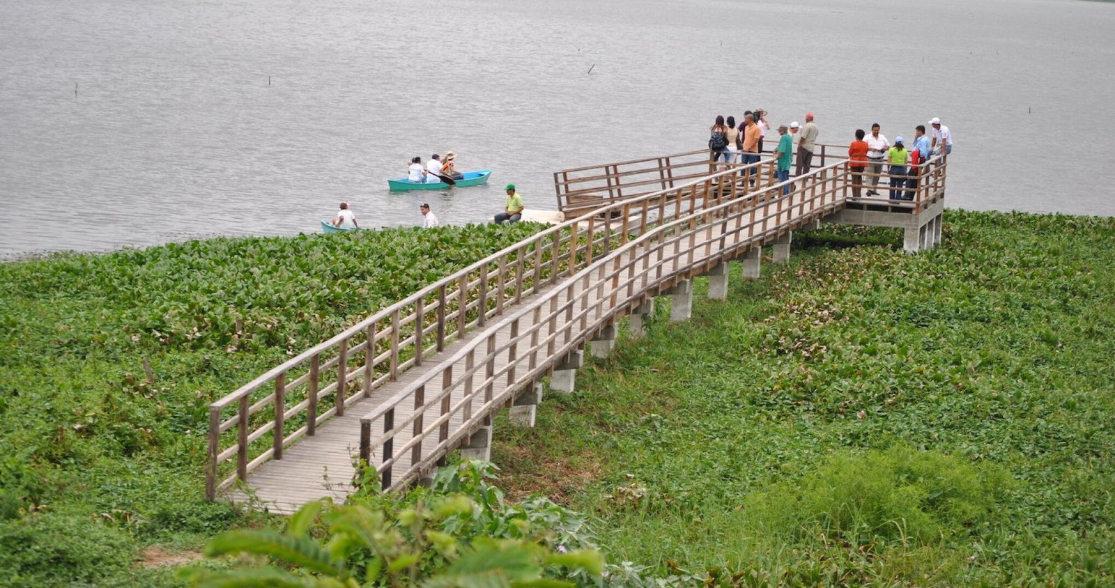 La Segua Wetland: biodiversity, fishing traditions, and birdwatching in Manabí
