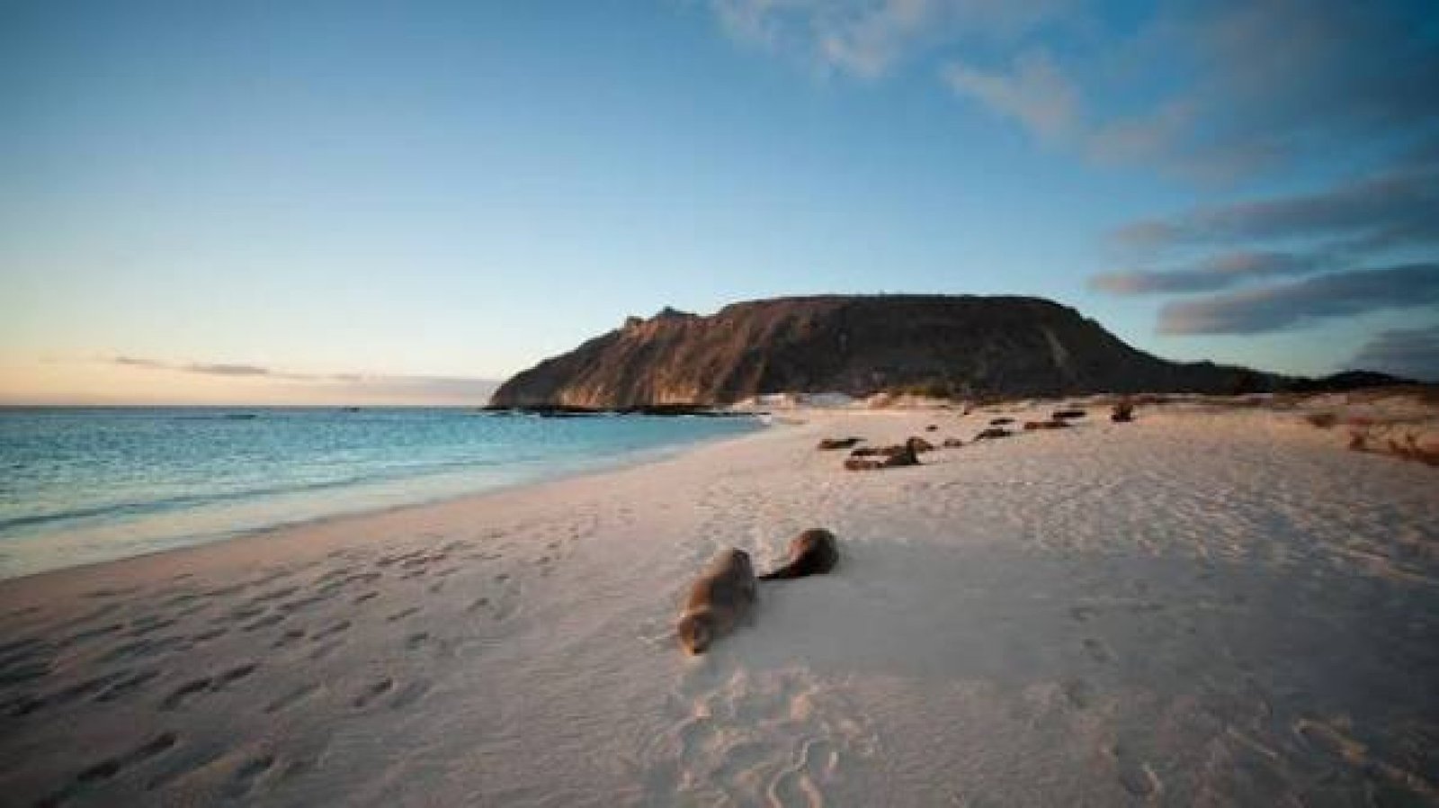 North Seymour Island, Galápagos: A Complete Guide to Wildlife and Birdwatching
