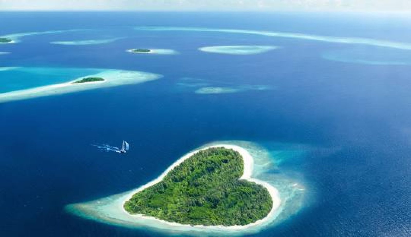 Isla Corazón: Un Santuario de Manglares y Aves en la Costa Manabita