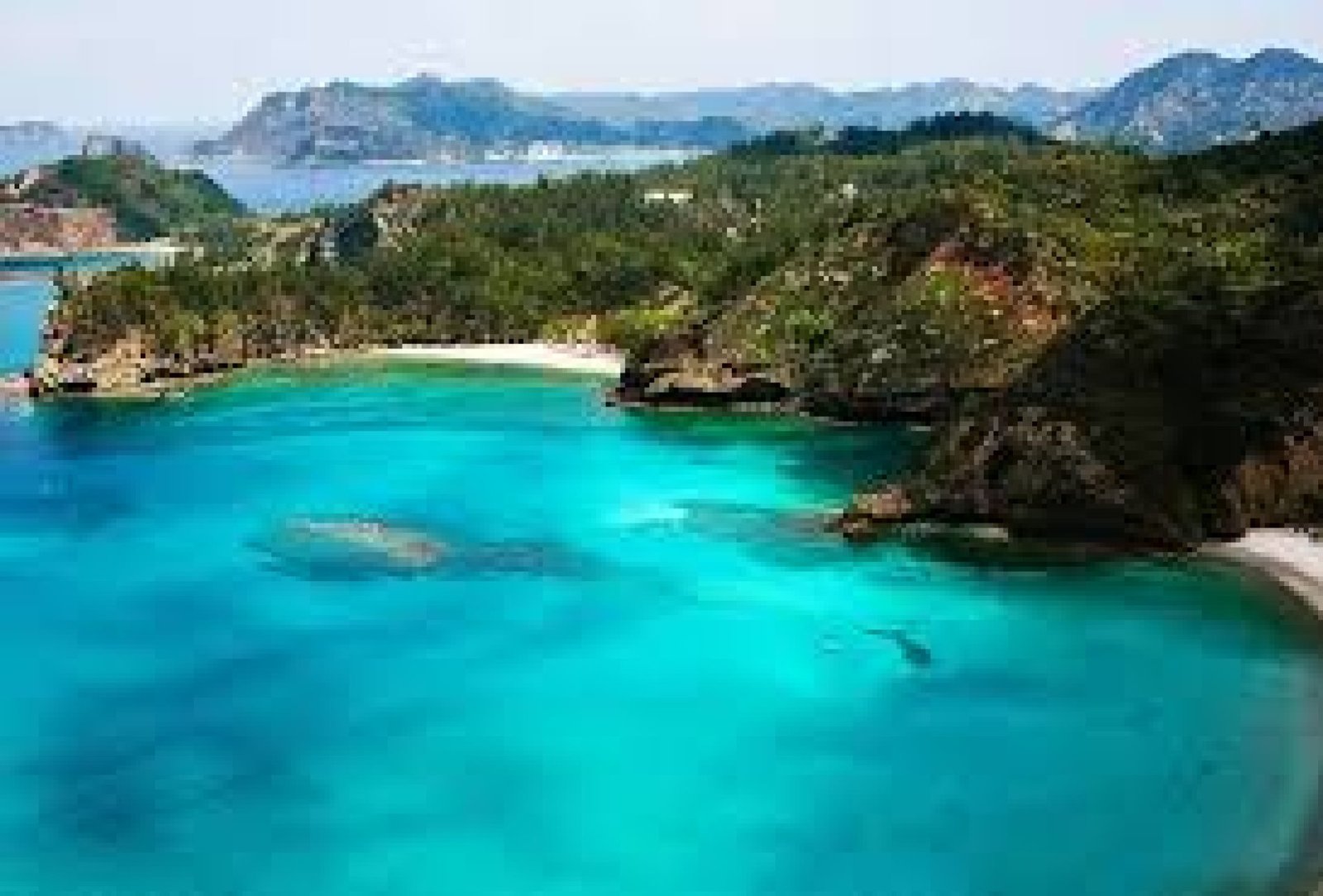 Floreana Island: The Mysterious Gem of Galápagos with History and Wildlife