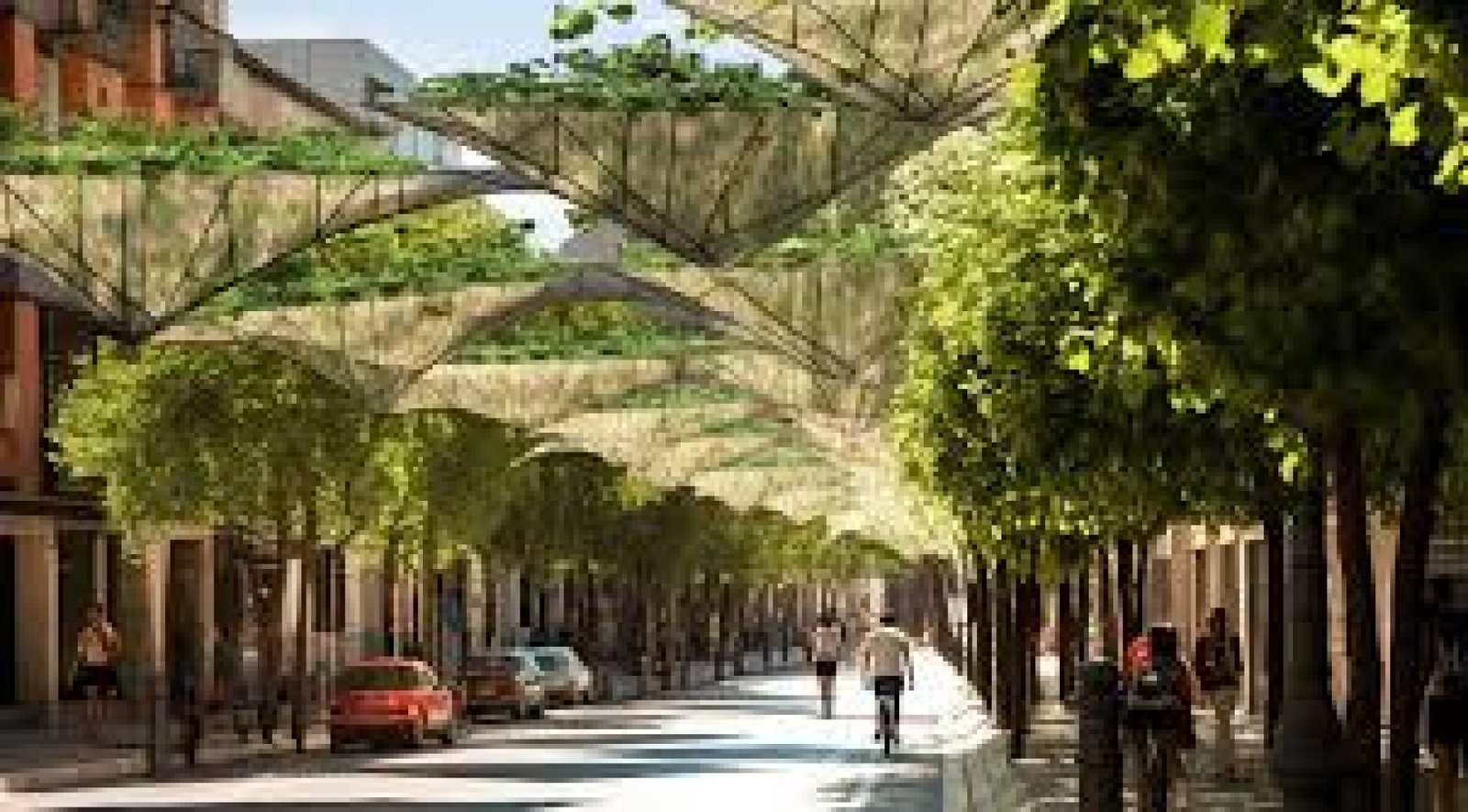 Jardines Colgantes del Ecuador: Turismo en Ecosistemas Verticales y Bosques Nubosos