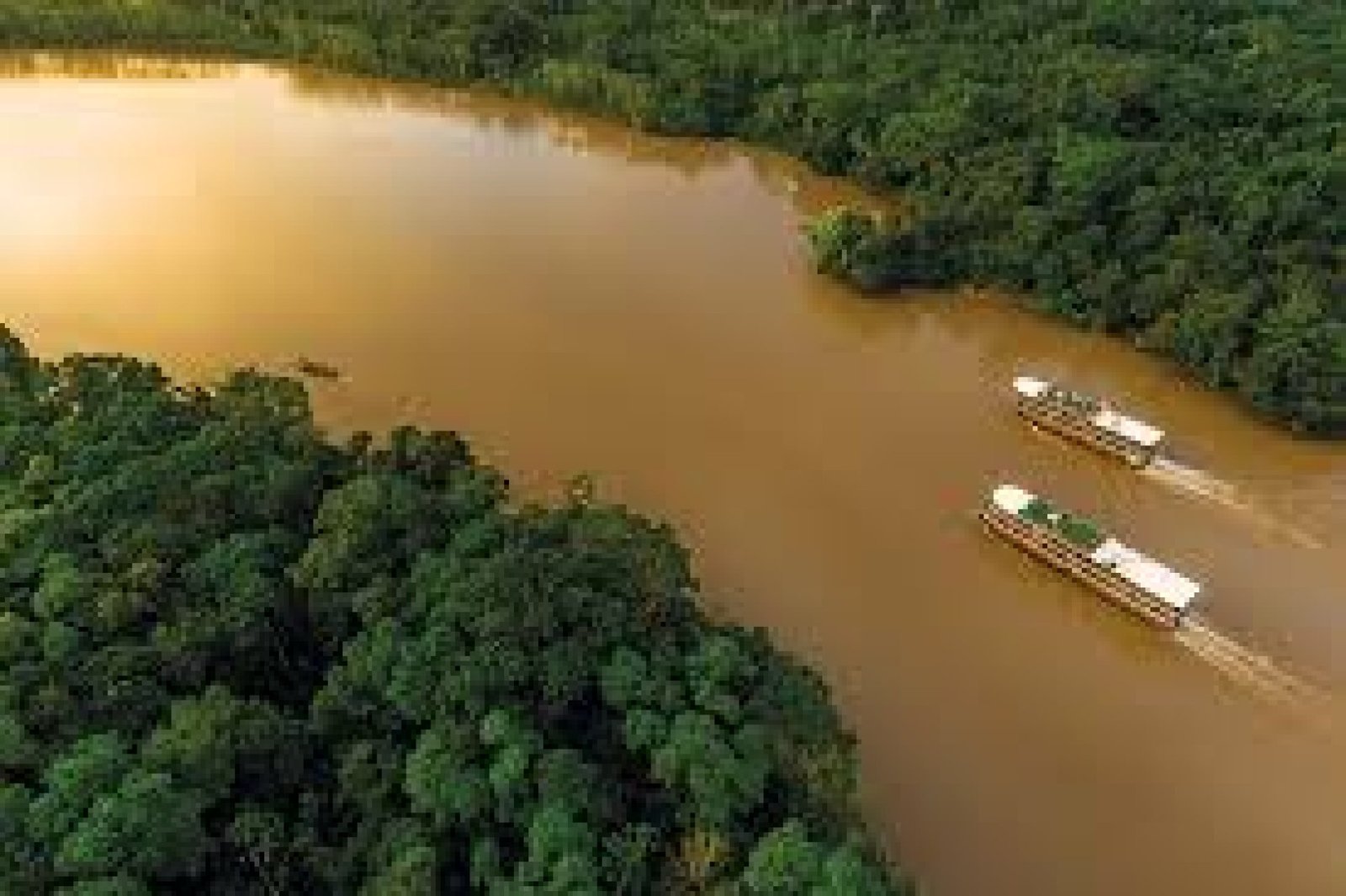 The Amazon Rainforest of Ecuador: A Journey into the Heart of Biodiversity