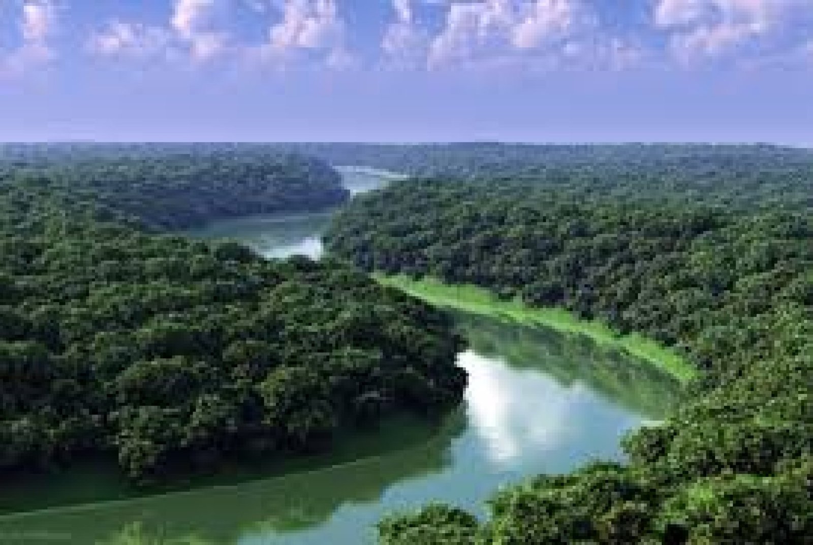La Amazonía ecuatoriana: un viaje al corazón de la selva