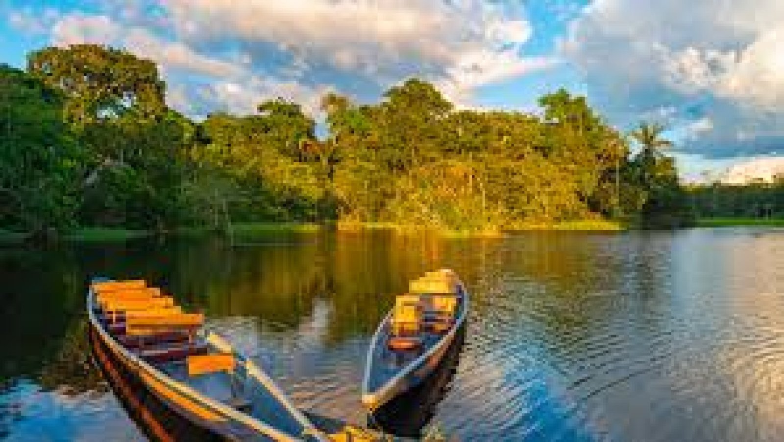 The Ecuadorian Amazon: biodiversity, culture, and adventure in the rainforest