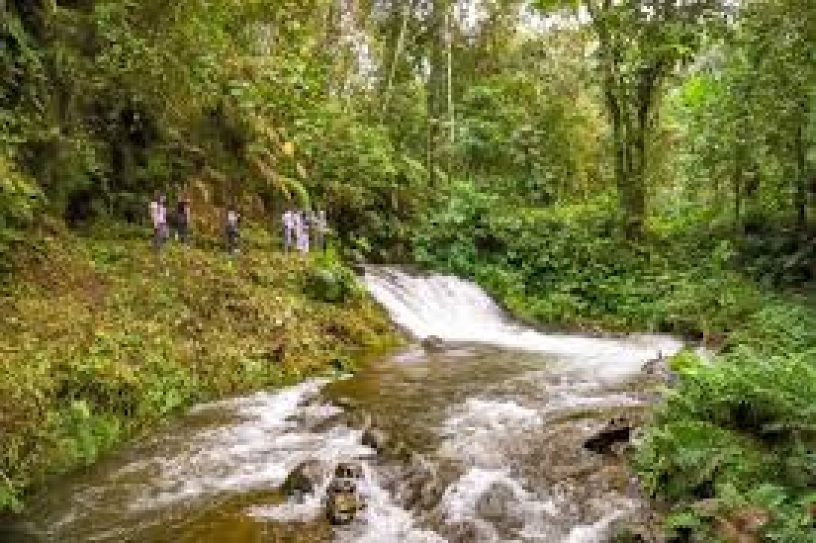 Chiguaza Waterfall: Adventure and Nature in Ecuador’s Morona Santiago