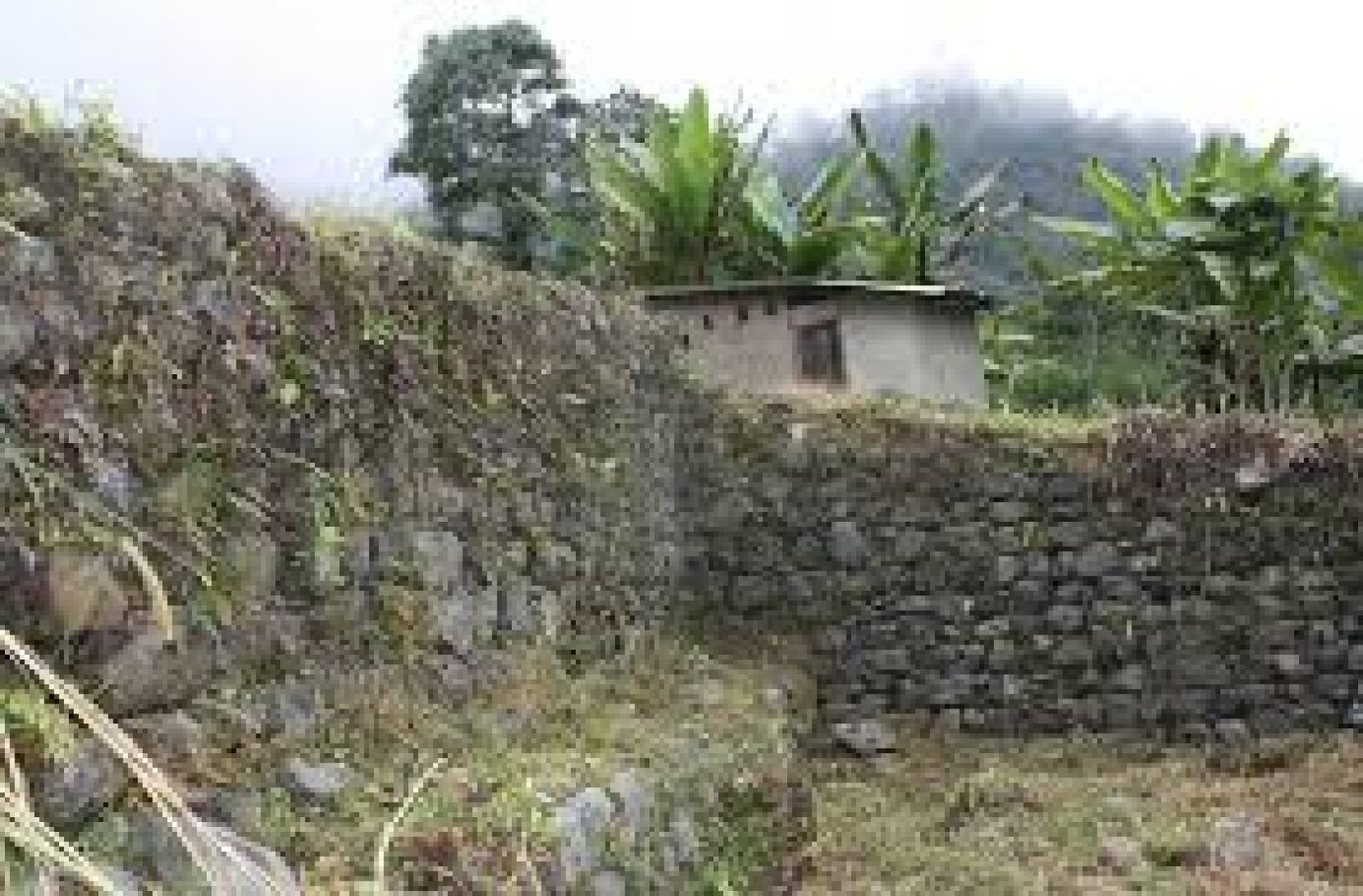 La Ciudad Perdida de Malqui-Machay: El Misterio del Último Inca en Ecuador
