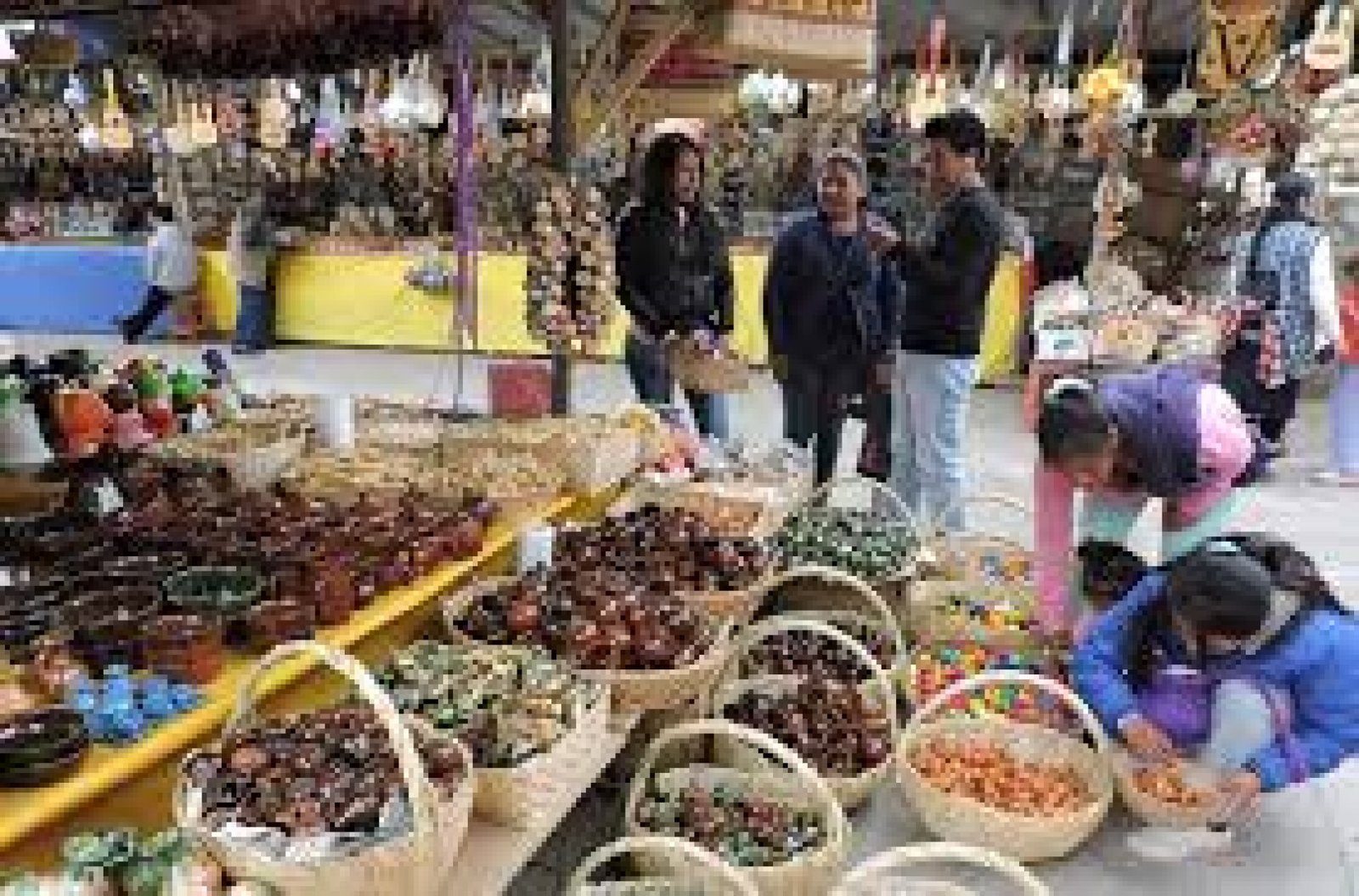 La Feria de Ambato: Tradición, Cultura y Sabores Únicos