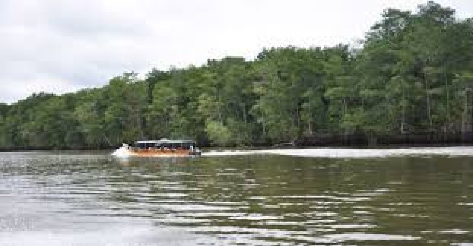 Isla Tolita: An Archaeological and Natural Treasure in the Coast of Ecuador