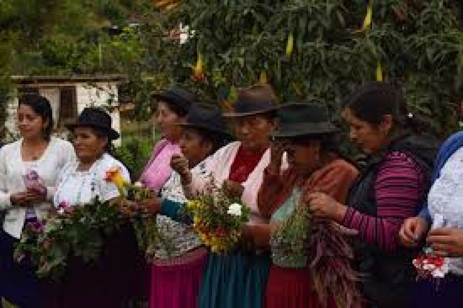 Andean Ancestral Medicine: Wisdom from Ecuador’s Highlands