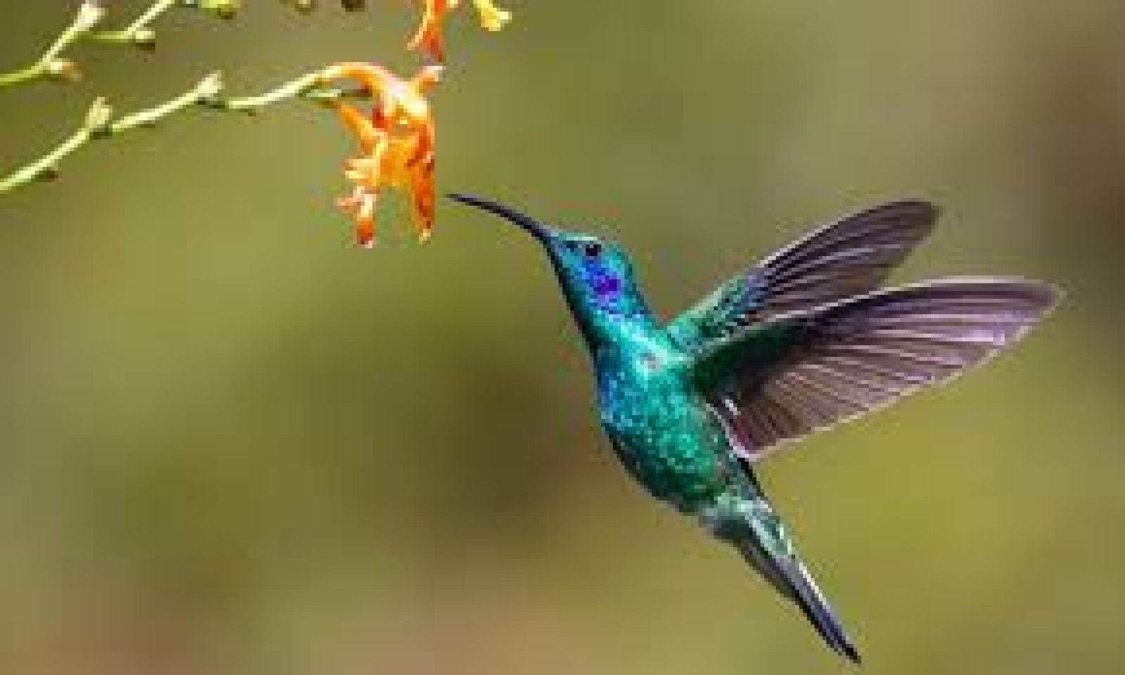 The Art of Silence: Spiritual Retreats and Andean Wisdom in Ecuador’s Sacred Mountains