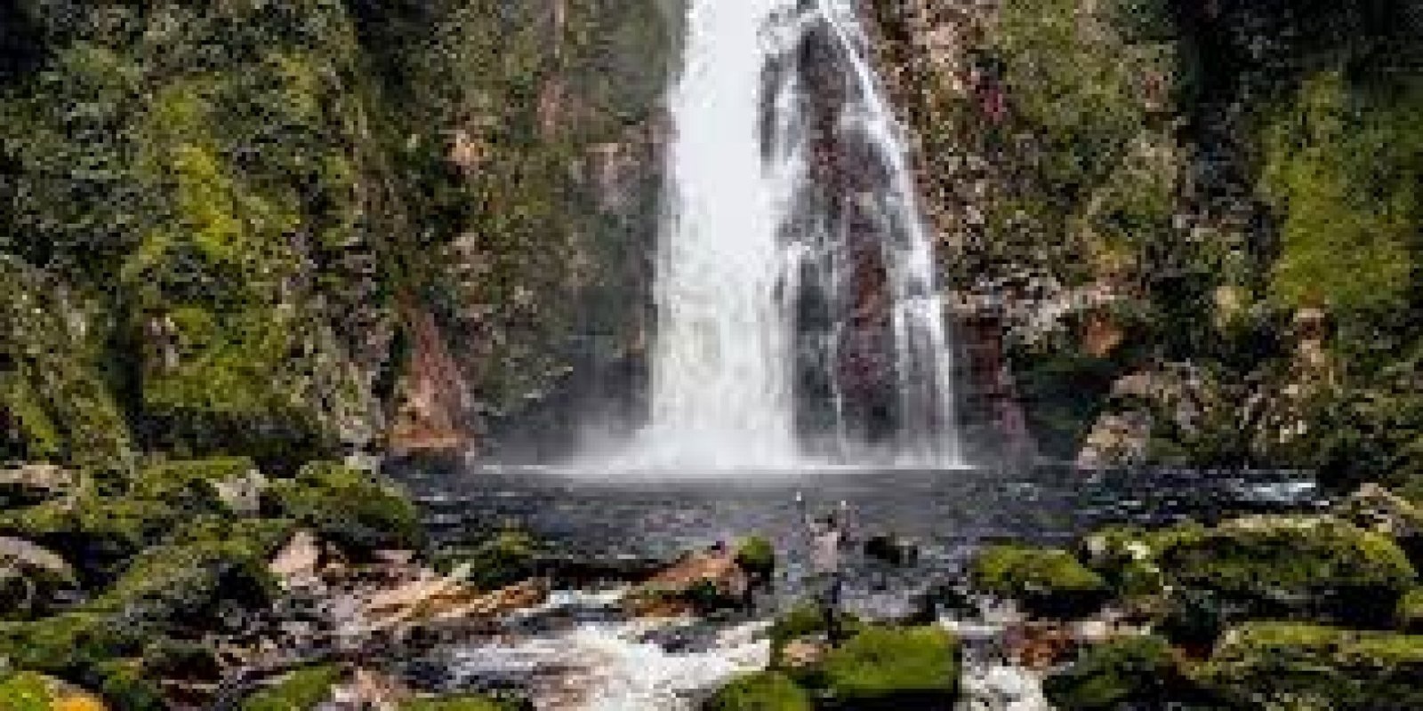 La Reserva Biológica El Quimi: Biodiversidad en Estado Puro en la Cordillera del Cóndor