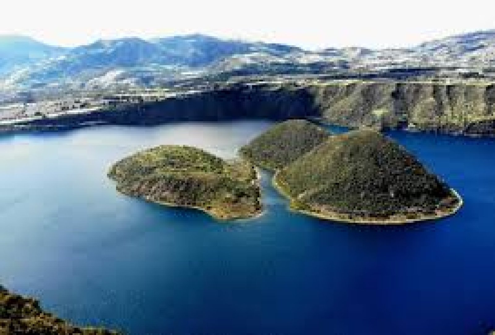 La Reserva Ecológica Cotacachi-Cayapas: Un Santuario de Biodiversidad y Paisajes Andinos