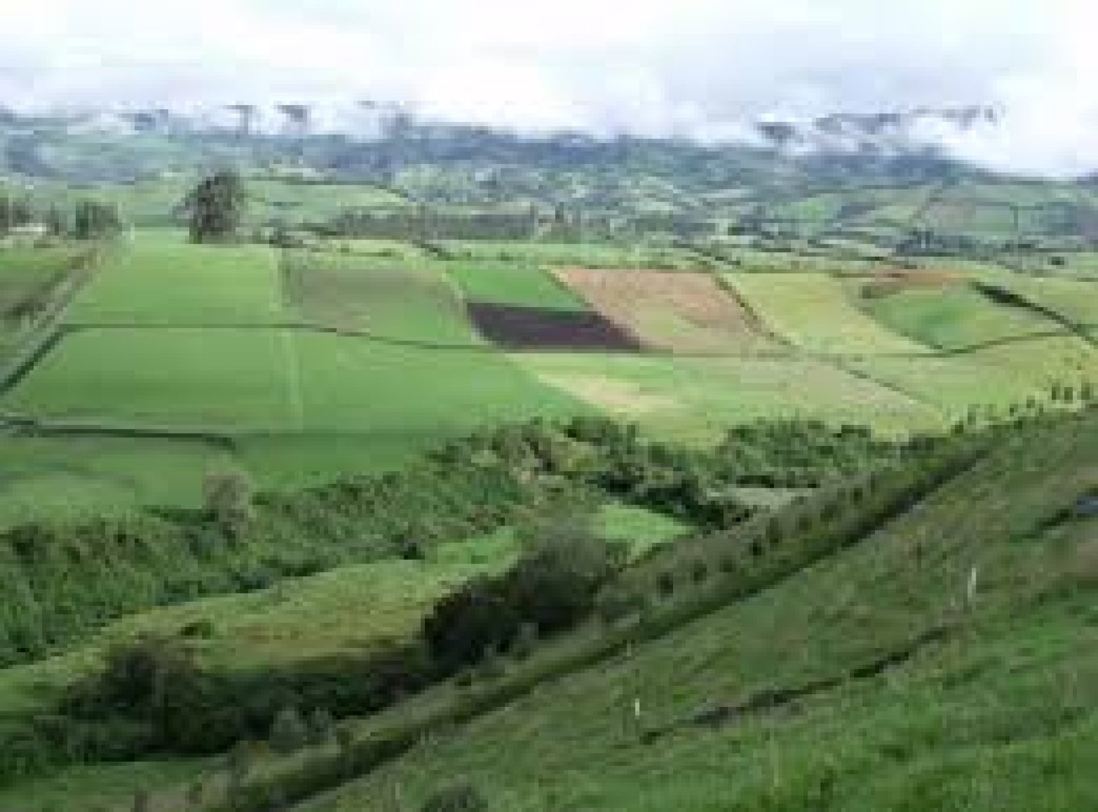La Ruta de los Valles Interandinos: Un Viaje Entre Montañas y Tradiciones