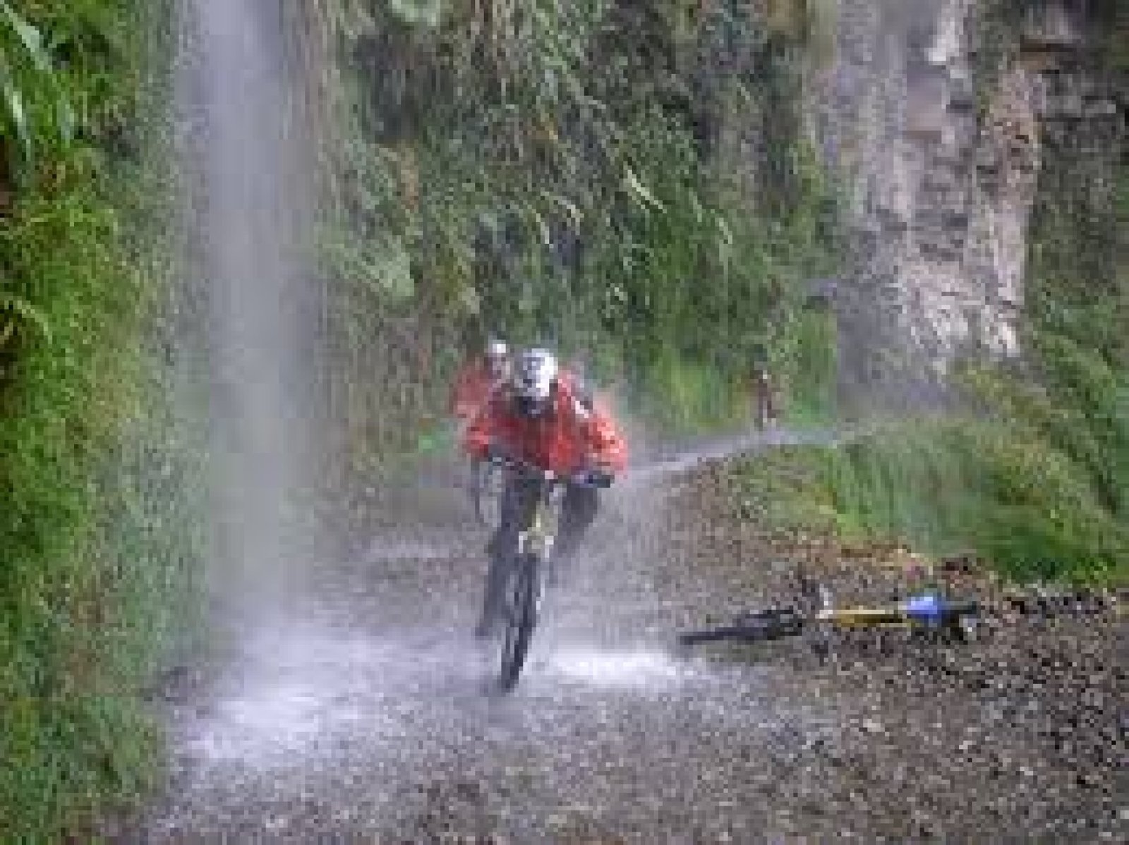 The Yungas Route: A Journey Between Ecuador’s Andes and Amazon