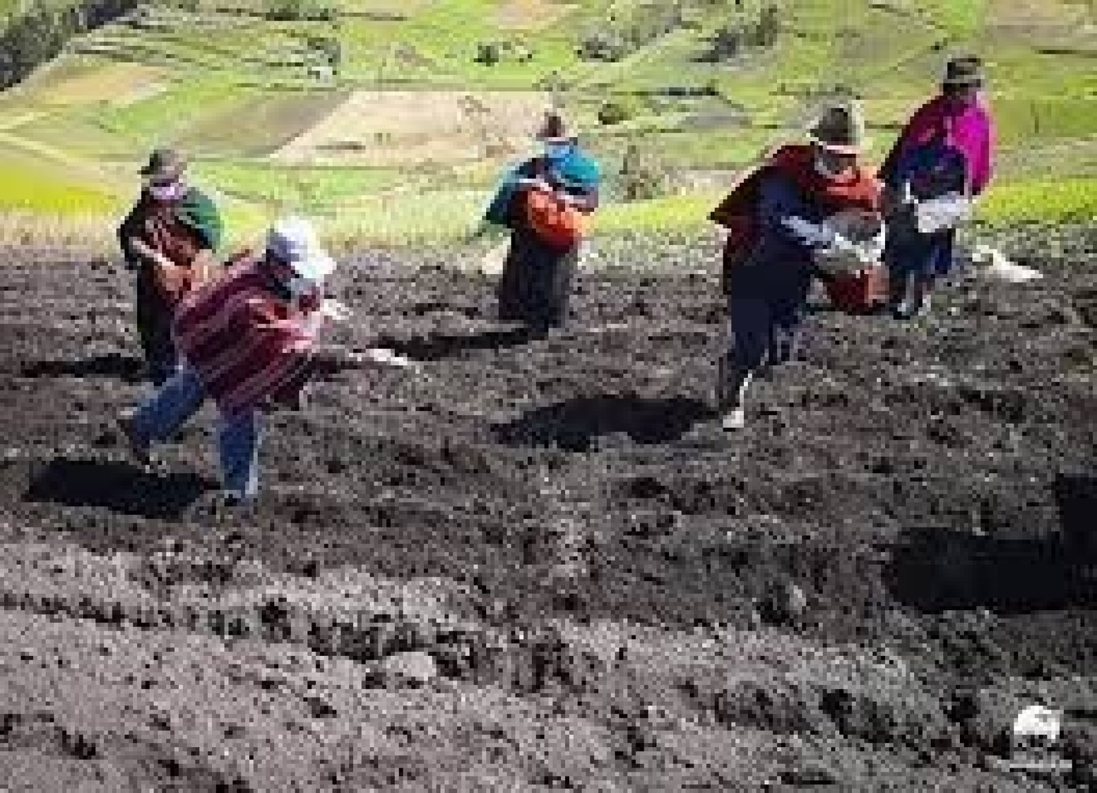 Erosion on Chimborazo: How Extreme Climate Shapes Ecuador’s Highest Mountain