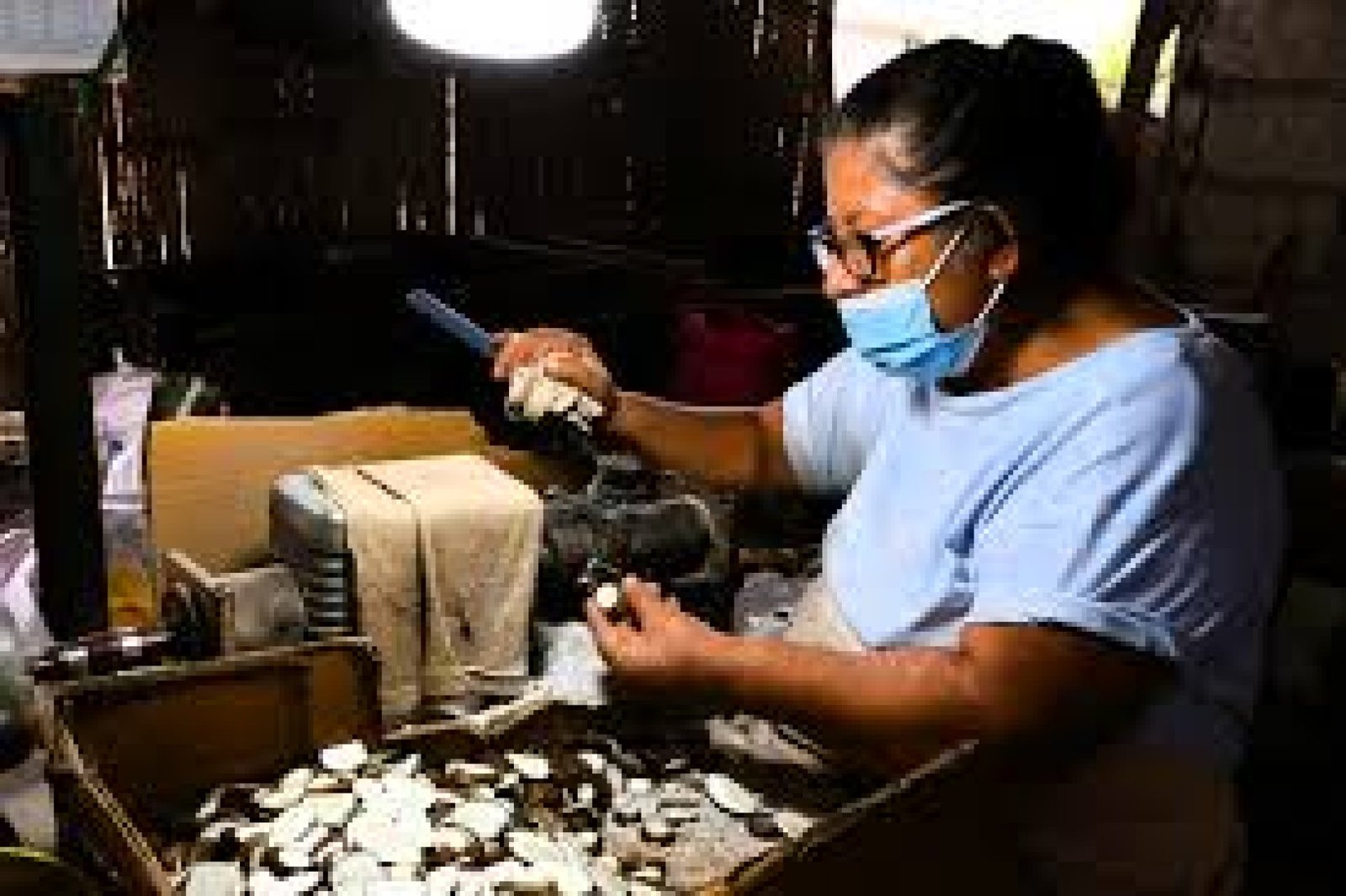 Tagua in Manabí: vegetable ivory and the quiet art of Ecuadorian artisans