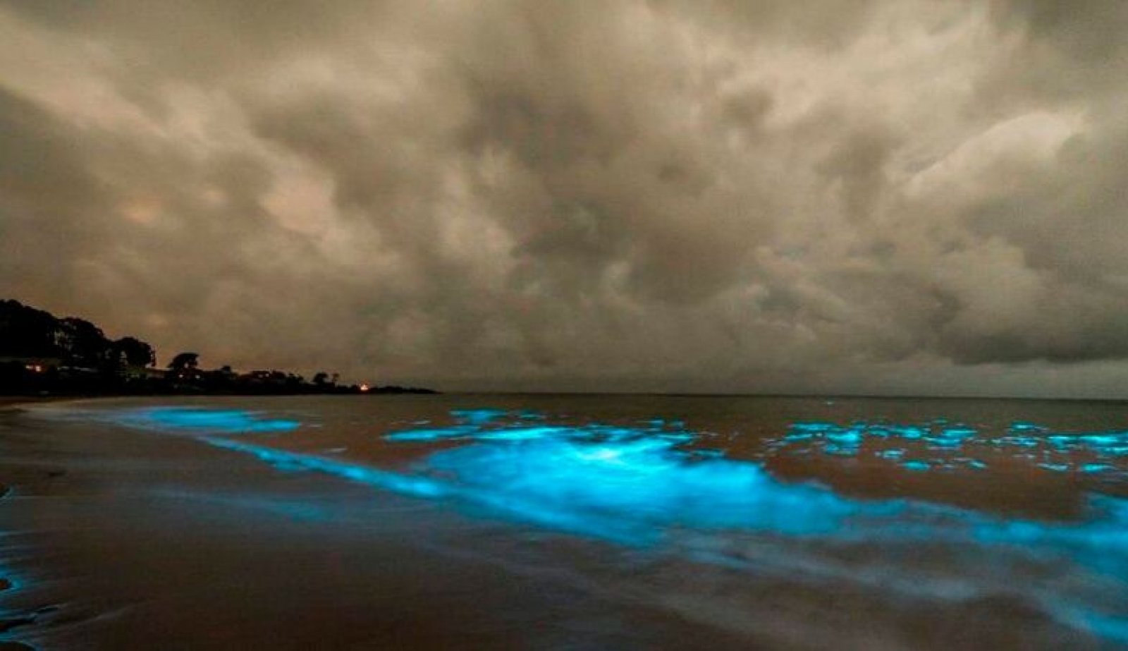 Lagunas bioluminiscentes en Ecuador: naturaleza que brilla de noche