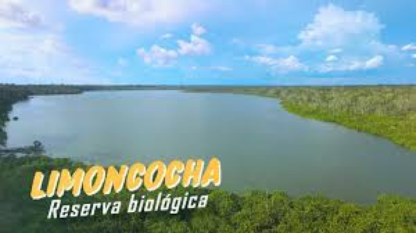 Limoncocha Biological Reserve: Wildlife, Amazon Lagoons, and Nature in Ecuador