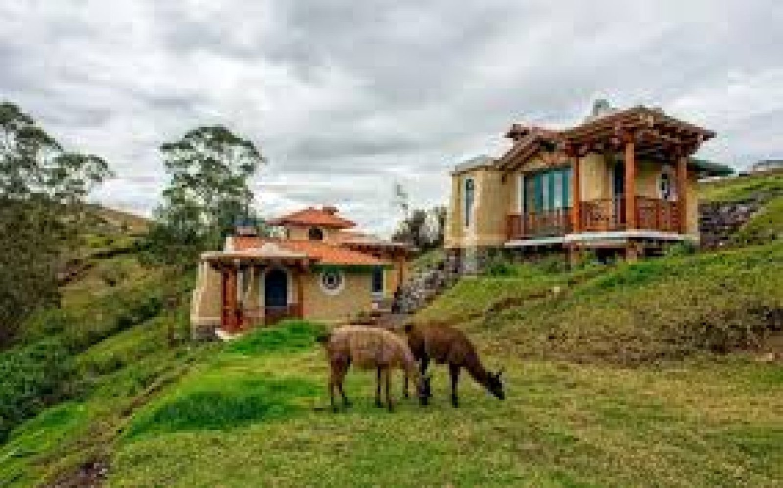 Llullu Llama Mountain Lodge: Andean hospitality with views of Cotopaxi