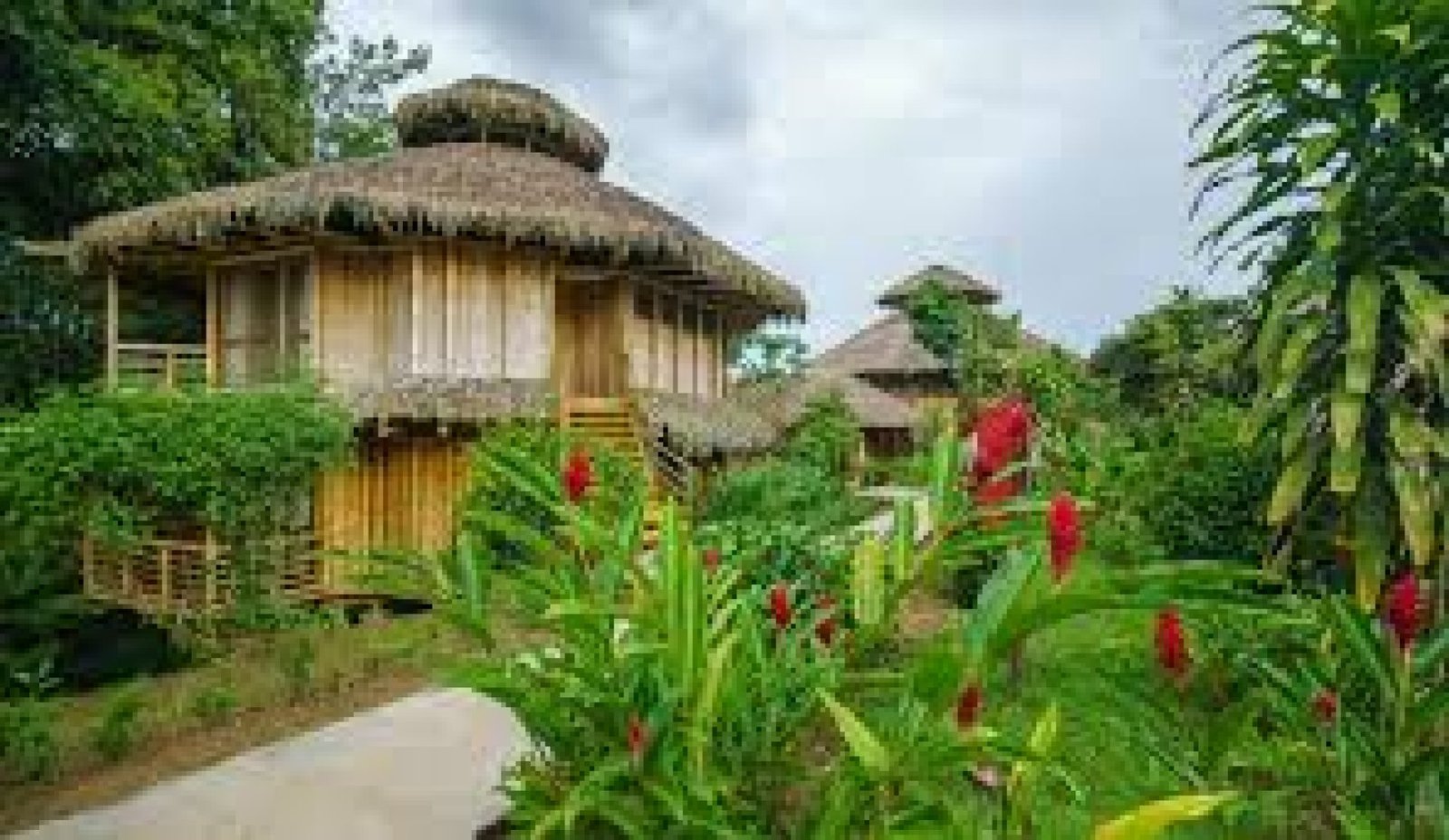 Eco-Lodges in the Amazon: Sleep Surrounded by Nature