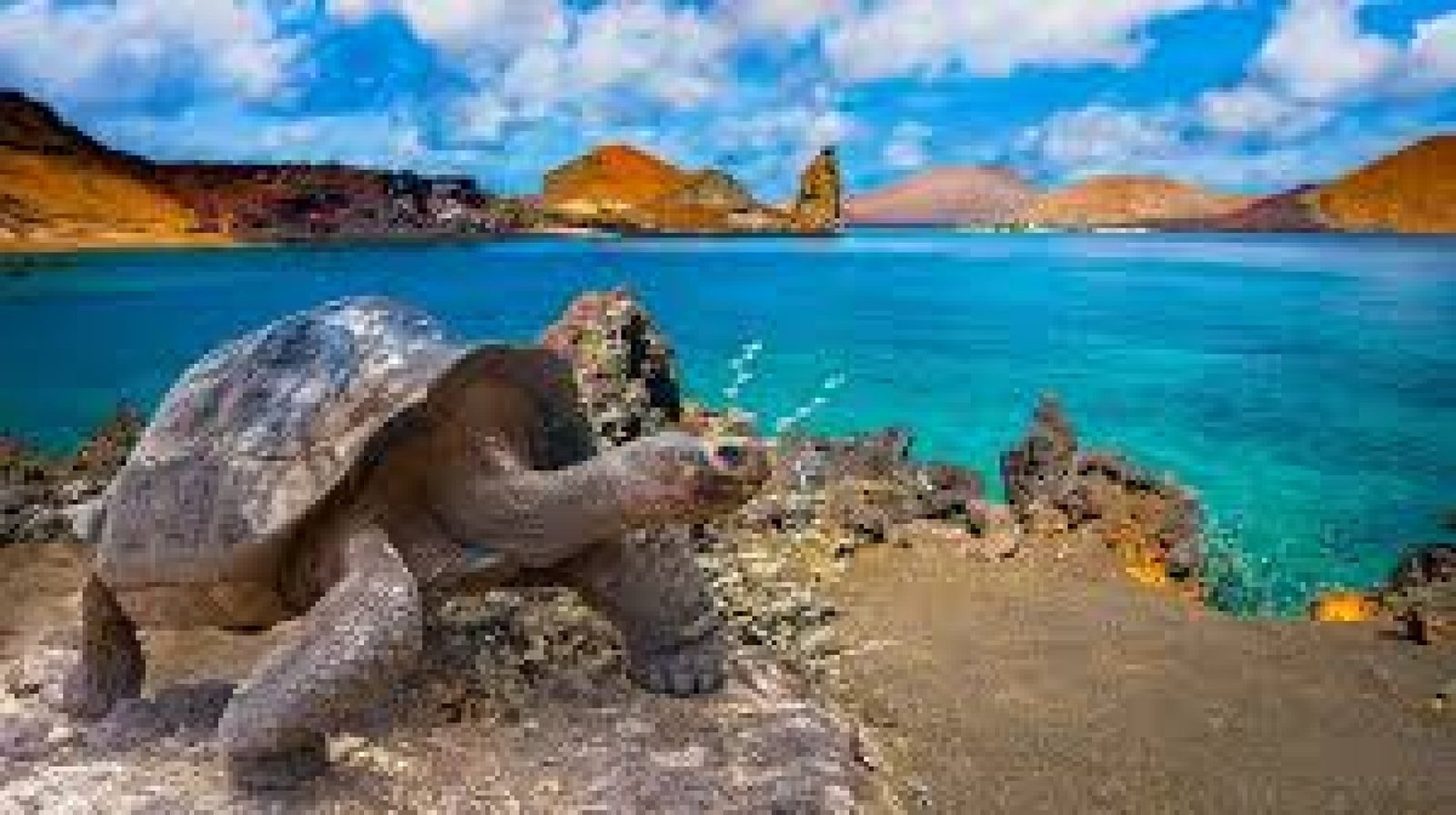 Los Mejores Lugares para Fotografiar en Galápagos: Naturaleza Sin Filtros