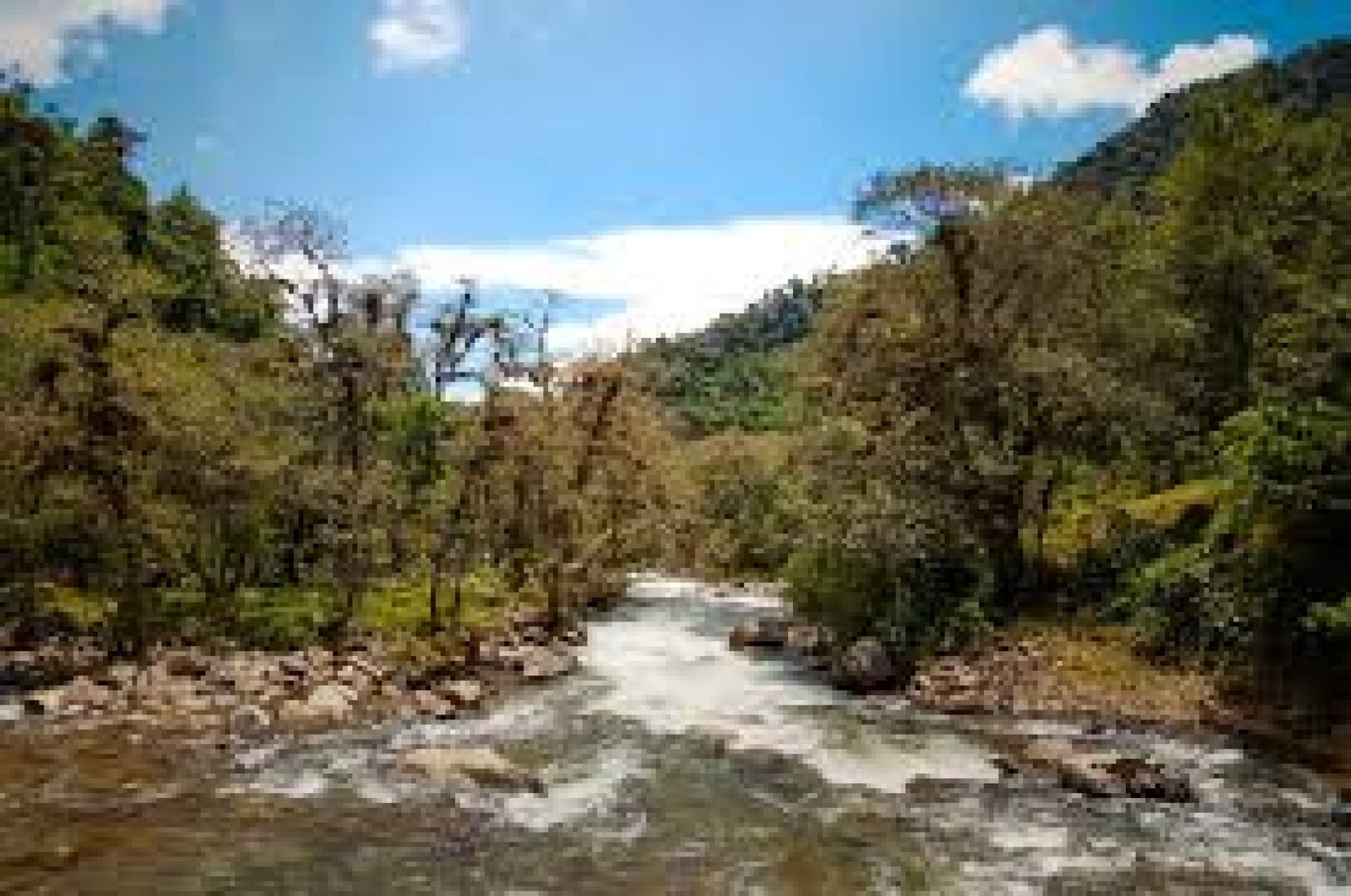 Los Ríos de Llama: El Ritmo de la Vida en los Andes del Ecuador