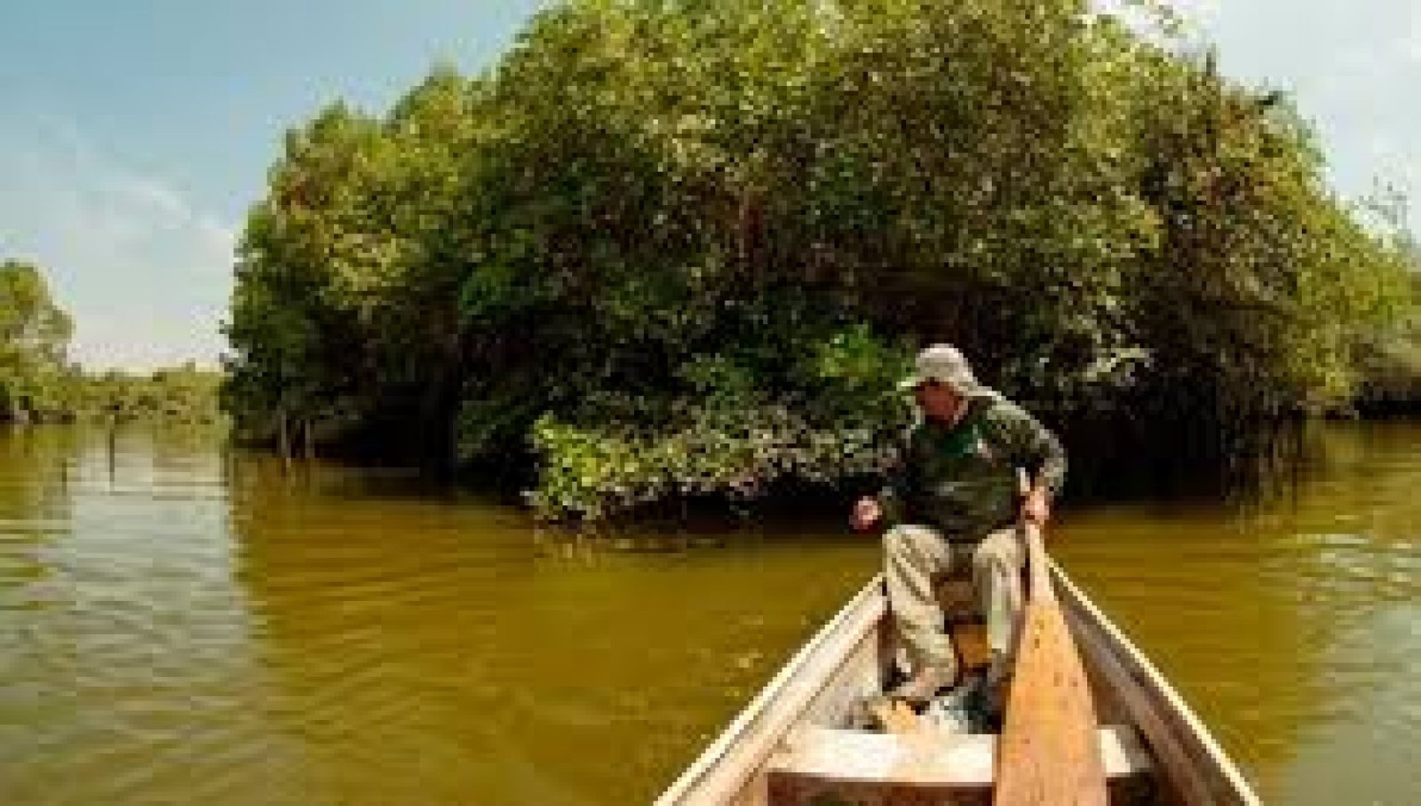Manglares Churute: Aventura y Naturaleza en la Costa Ecuatoriana