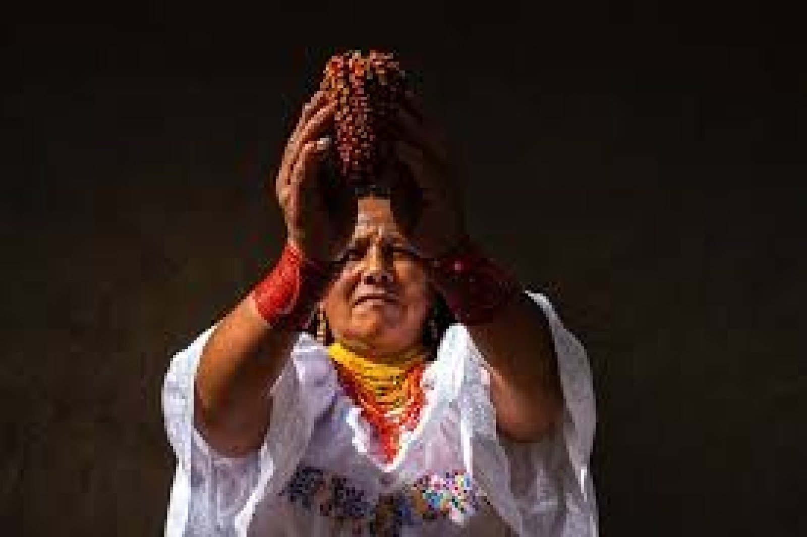 Andean Ancestral Medicine: Wisdom from Ecuador’s Highlands