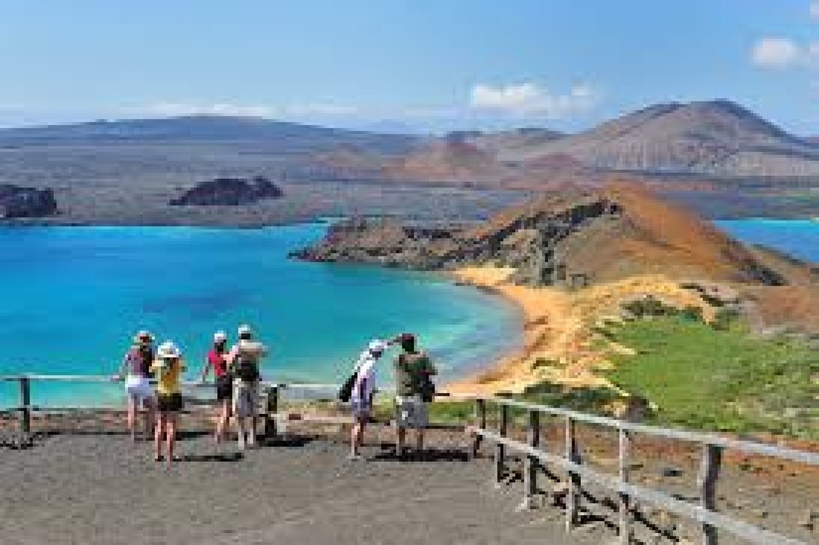 When Is the Best Time to Visit the Galápagos Islands? A Guide to Wildlife, Seasons, and Travel Tips