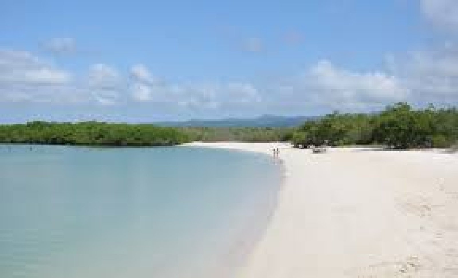 Tortuga Bay Beach: white sand and wildlife in Galápagos