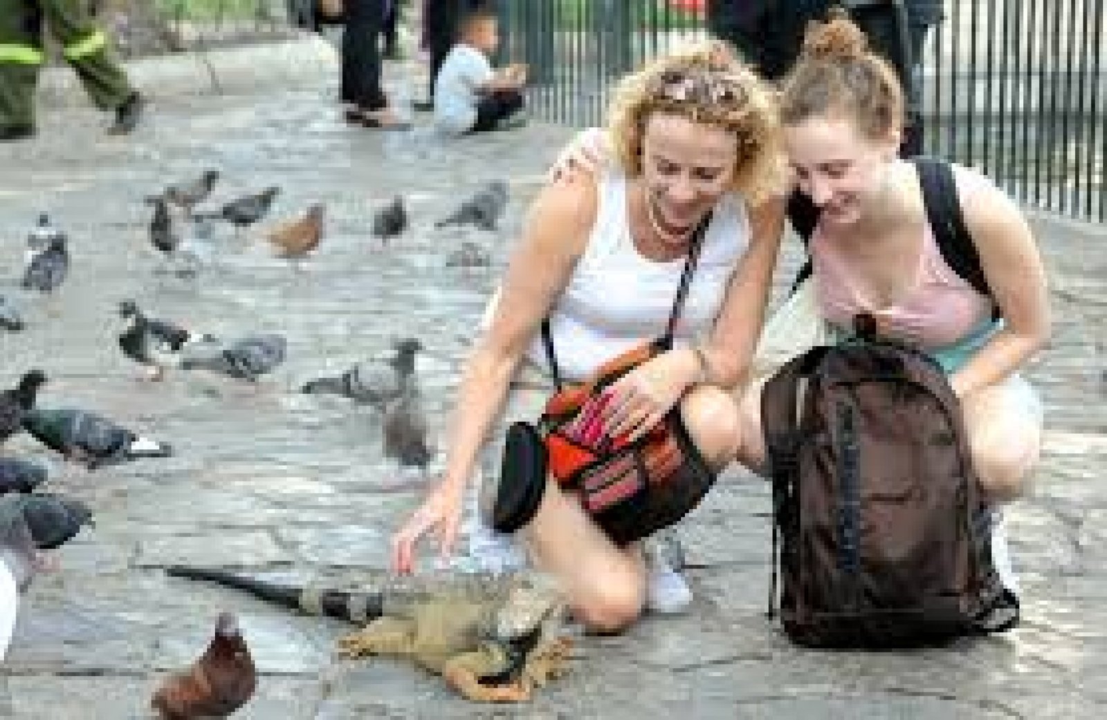 Why Free Time Is Essential in an Ecuador Travel Itinerary