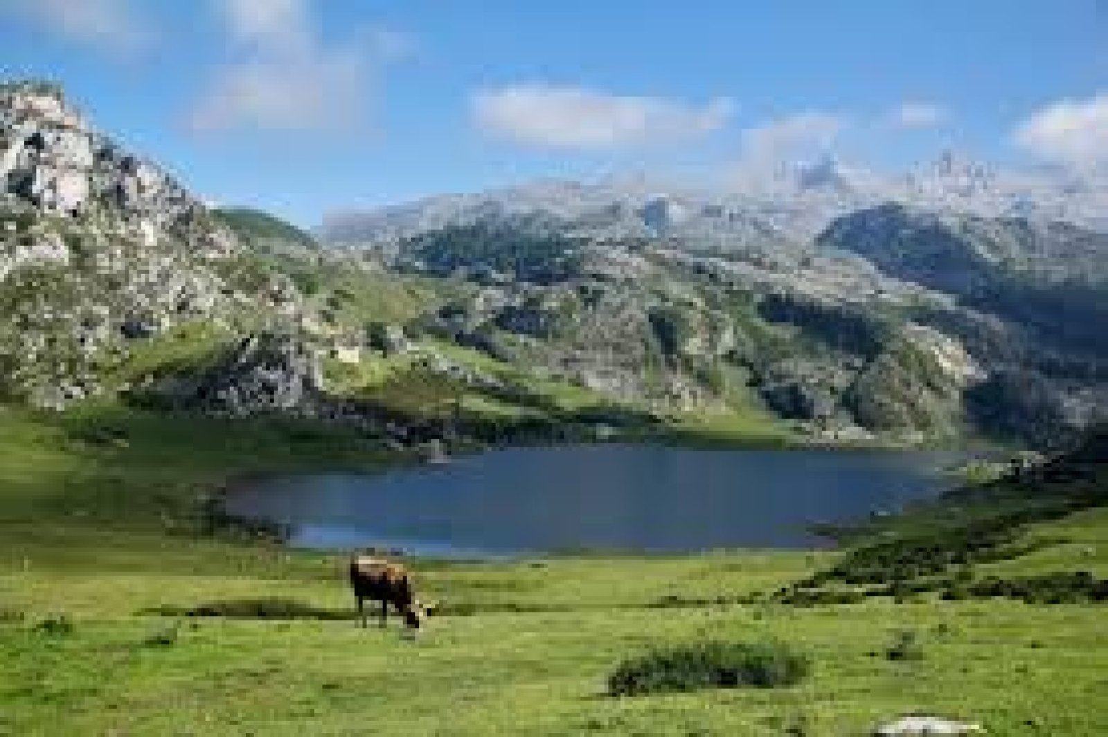 Why the Central Highlands are key in many Ecuador tours