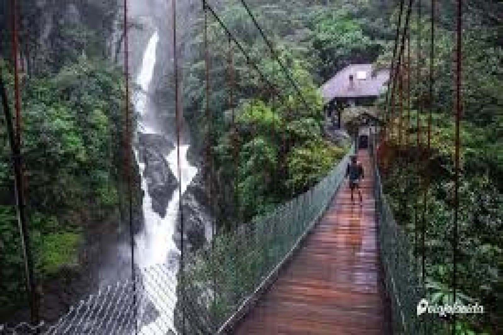 Puentes colgantes y cuevas ancestrales en la Amazonía ecuatoriana