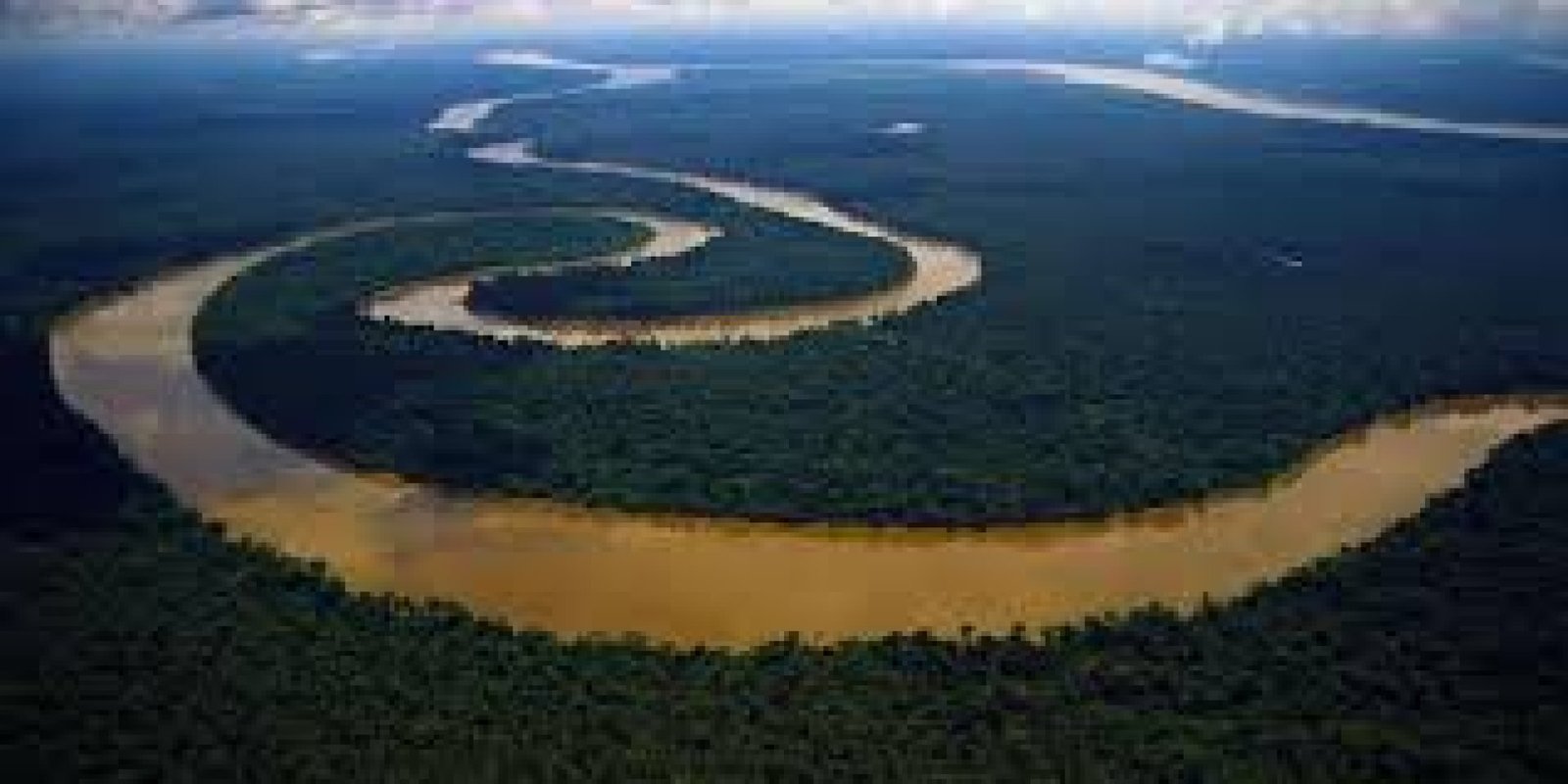 Cuyabeno vs Yasuní: Which Amazon Jungle Should You Choose for Your Adventure?