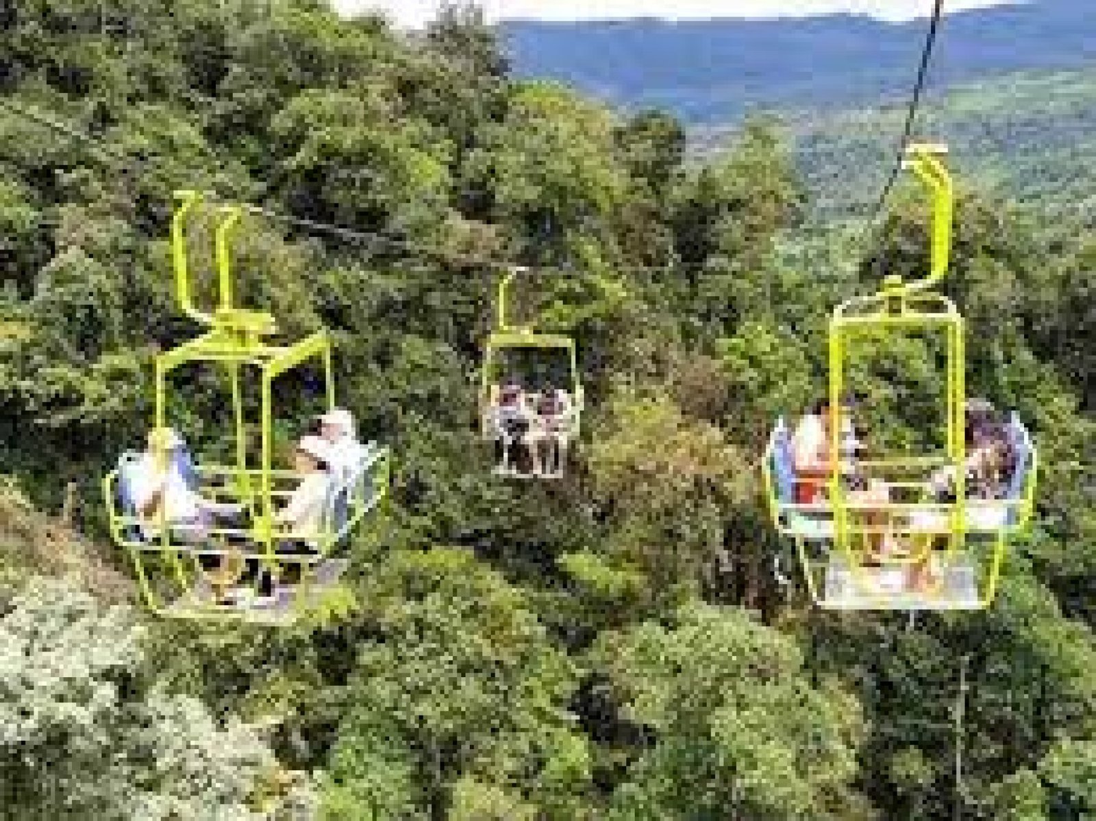 What to Do in Mindo If You Love Nature and Tranquility