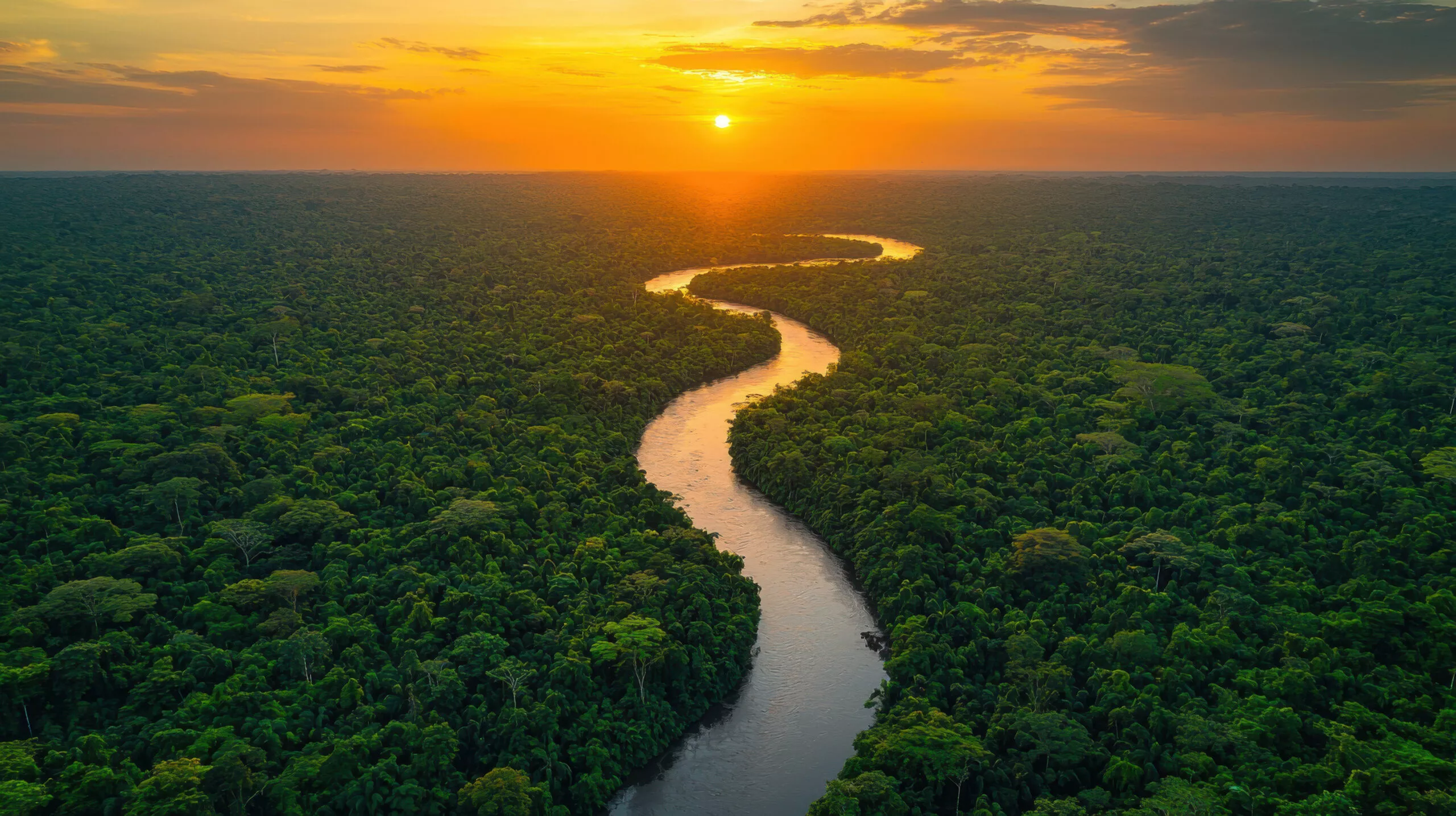 Traveling Through the Ecuadorian Amazon: a private journey into nature, culture, and life