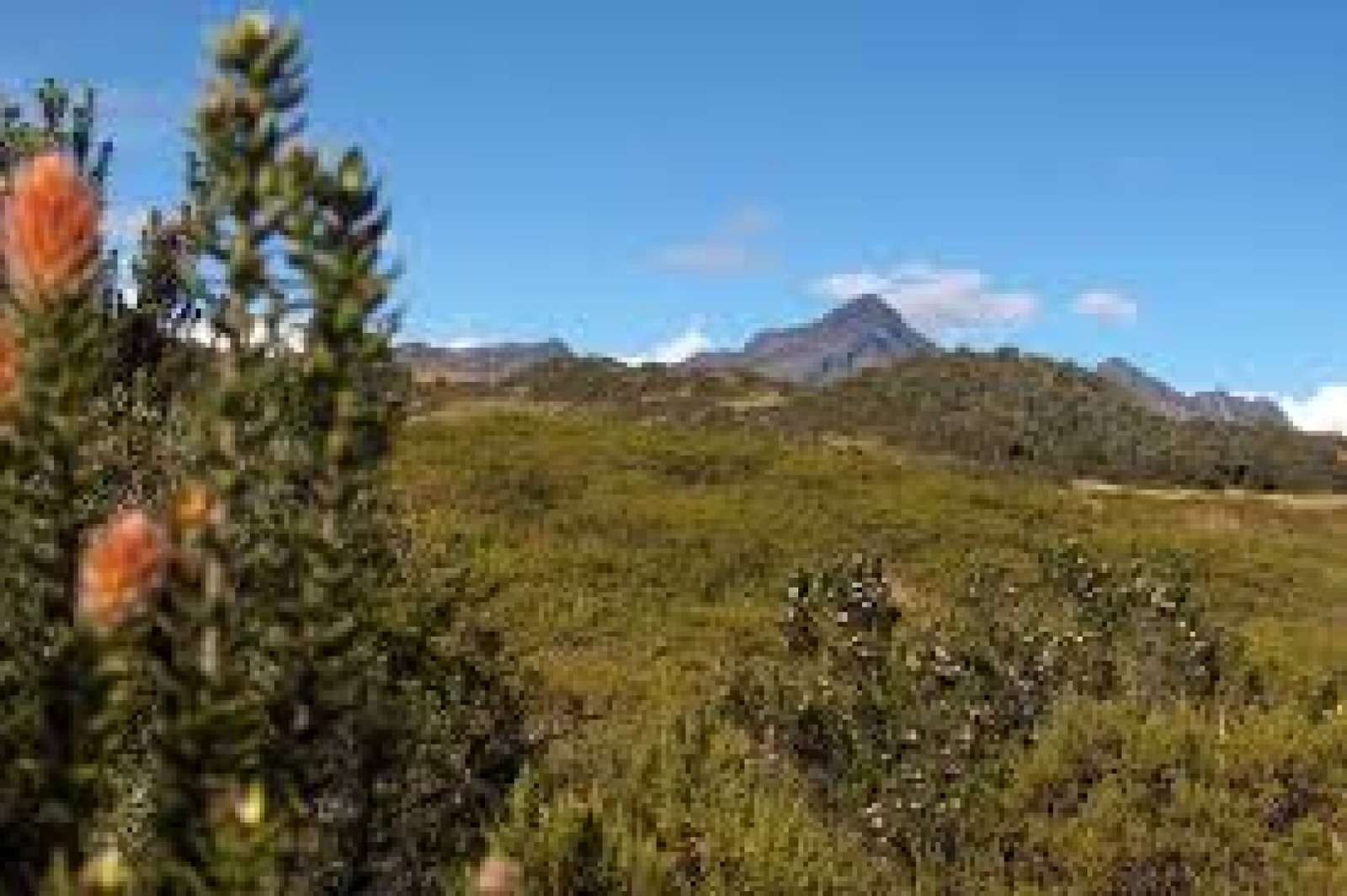 Refugio de Vida Silvestre Los Ilinizas: páramo, volcanes y biodiversidad en Cotopaxi