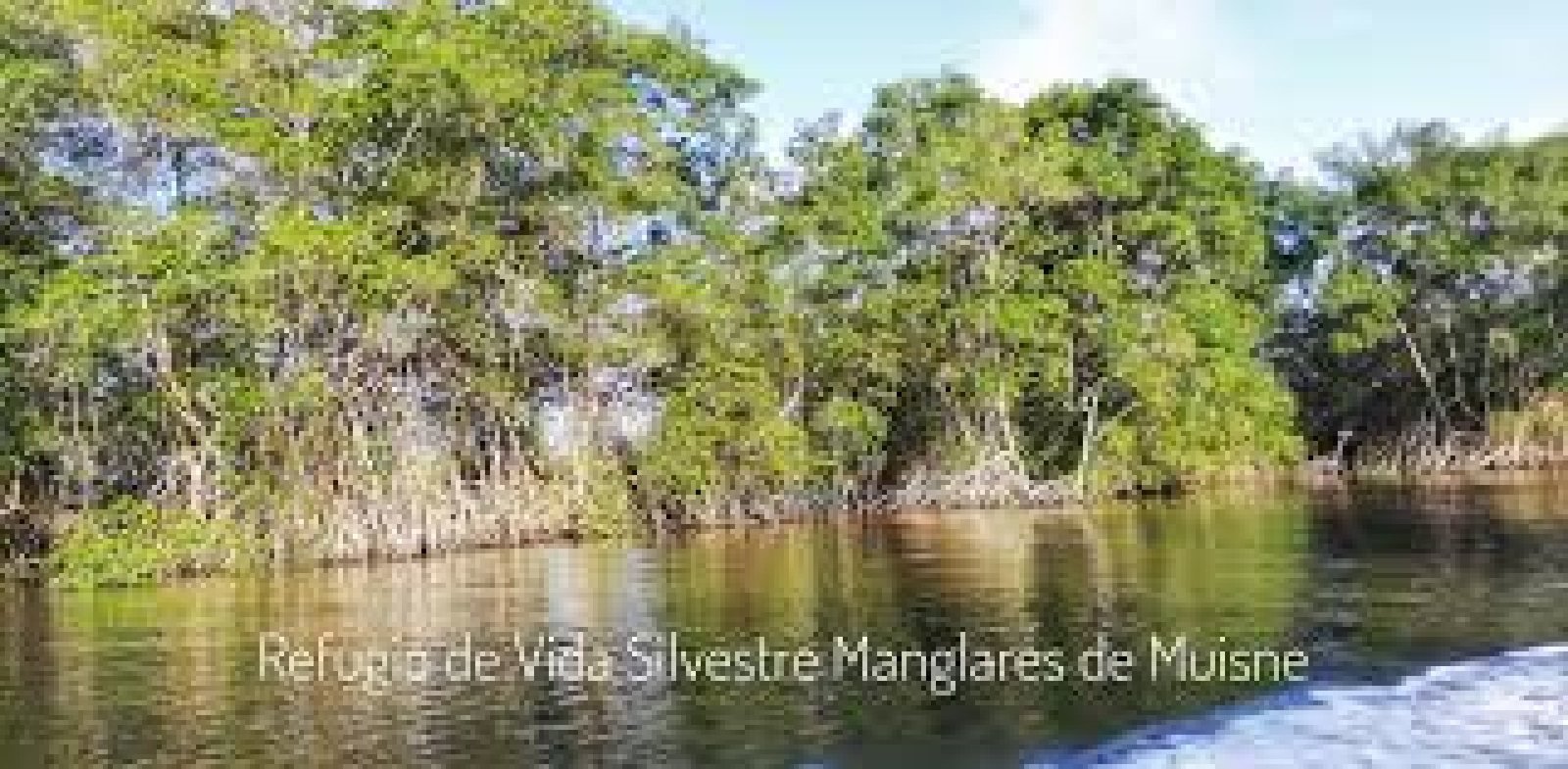 Pacoche Coastal Marine Wildlife Refuge: Nature, Biodiversity, and Conservation on Ecuador’s Coast