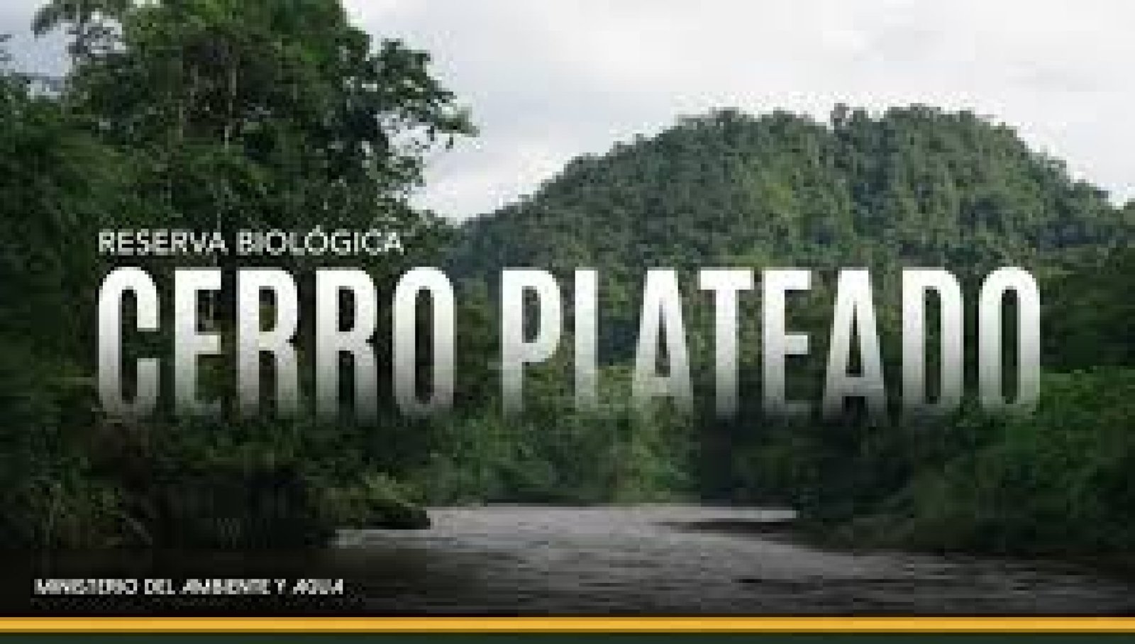 Cerro Plateado Biological Reserve: High-Andean Ecosystems and Unique Biodiversity in Southern Ecuador