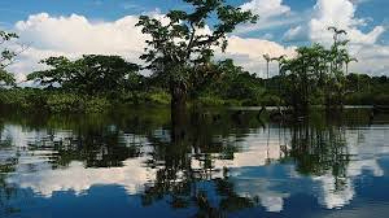 Cuyabeno Wildlife Production Reserve: the maze of rivers and lagoons in the Ecuadorian Amazon