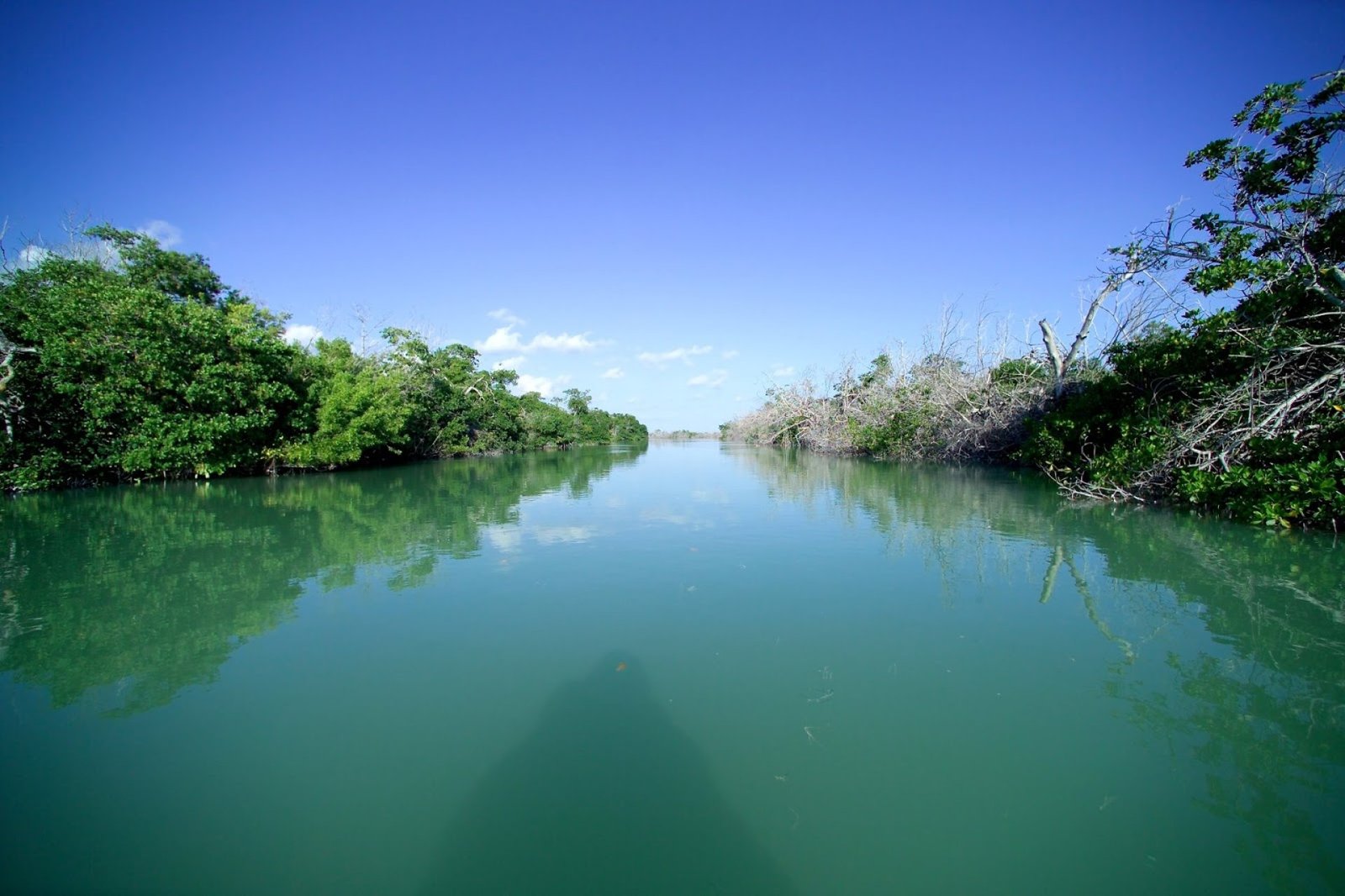 Ríos Sagrados del Oriente Ecuatoriano: Navegación y Cultura Ancestral