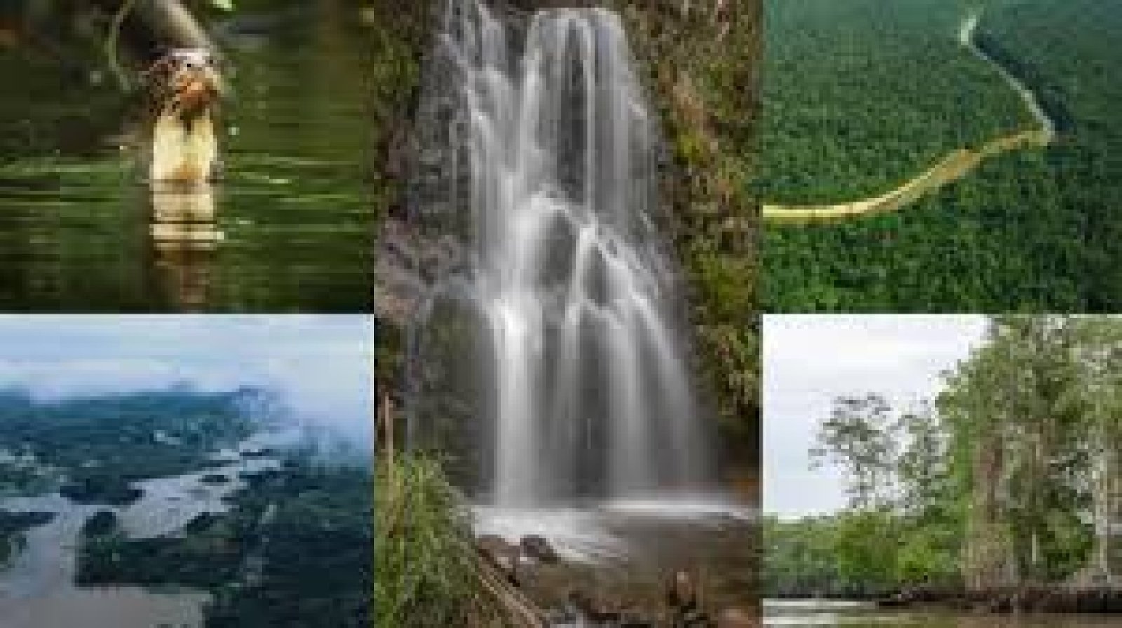 Hidden Rivers and Mangroves in Ecuador: Off-the-Beaten-Path Adventures
