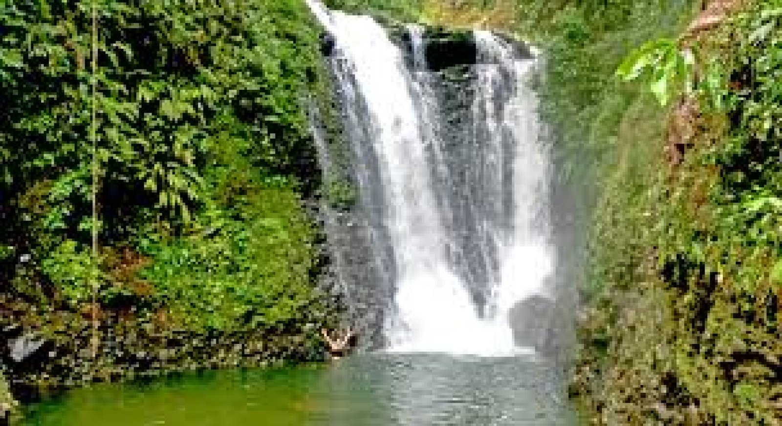 Ruta de cascadas en Puyo: naturaleza, aventura y cultura amazónica