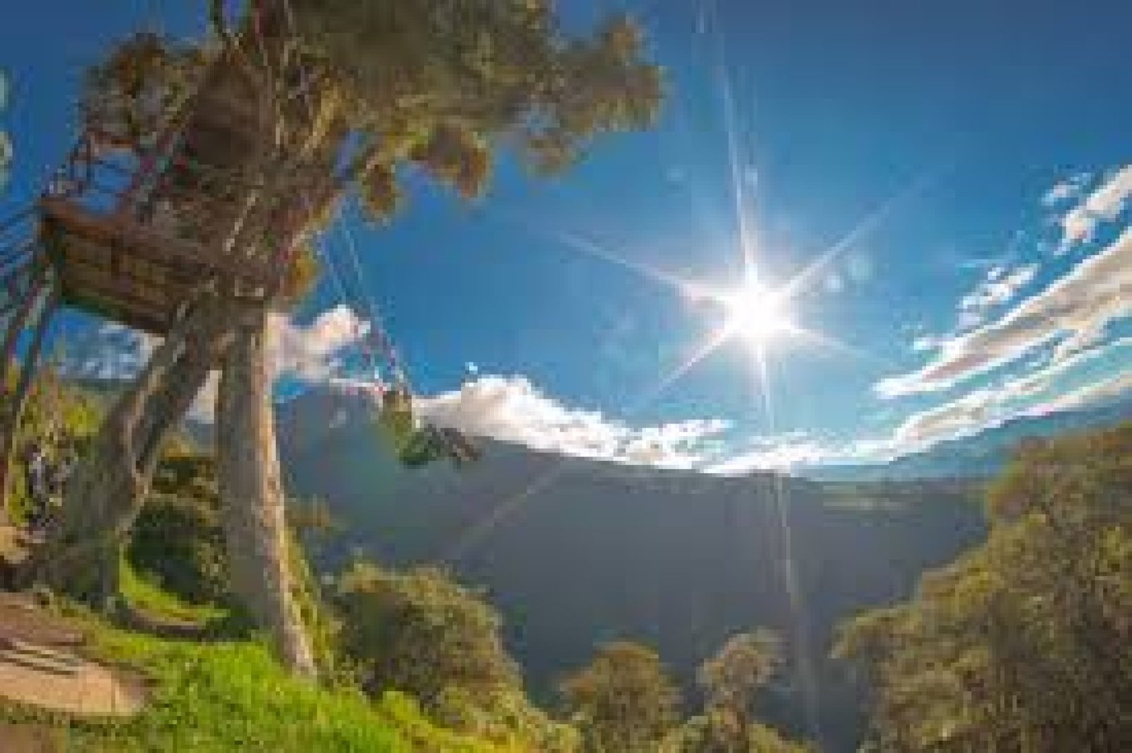 Tour to the Casa del Árbol and the Famous ‘Swing at the End of the World’: Everything You Need to Know