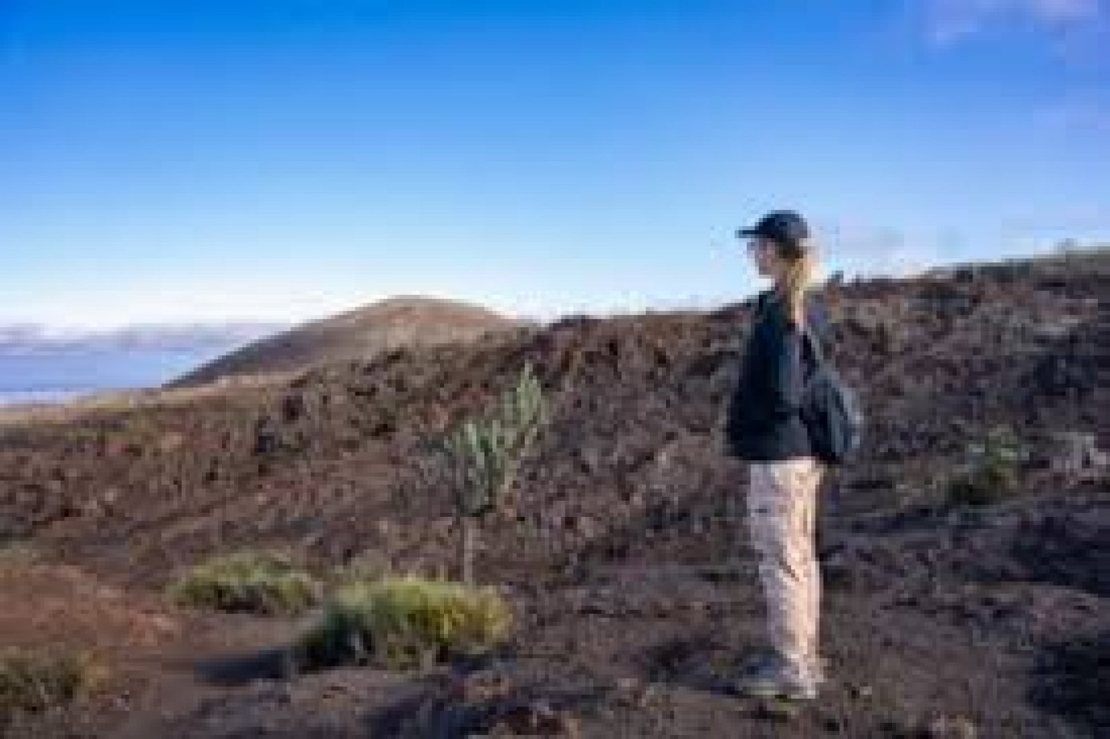 Ruta de senderismo por volcanes activos de Ecuador (Cotopaxi, Chimborazo, Altar)