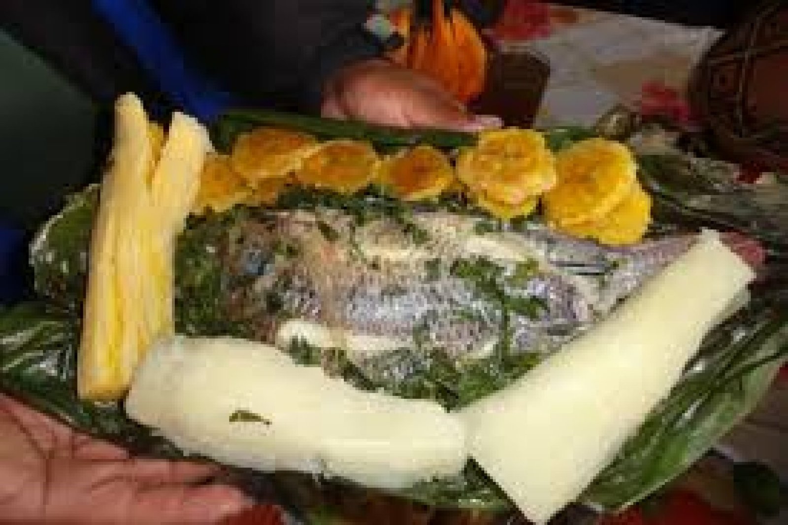 Sabores amazónicos: gastronomía ancestral con frutos, peces y hierbas