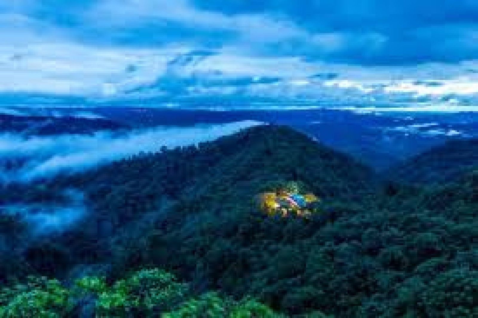 Selva de Noche: Aventuras Nocturnas en la Amazonía Ecuatoriana