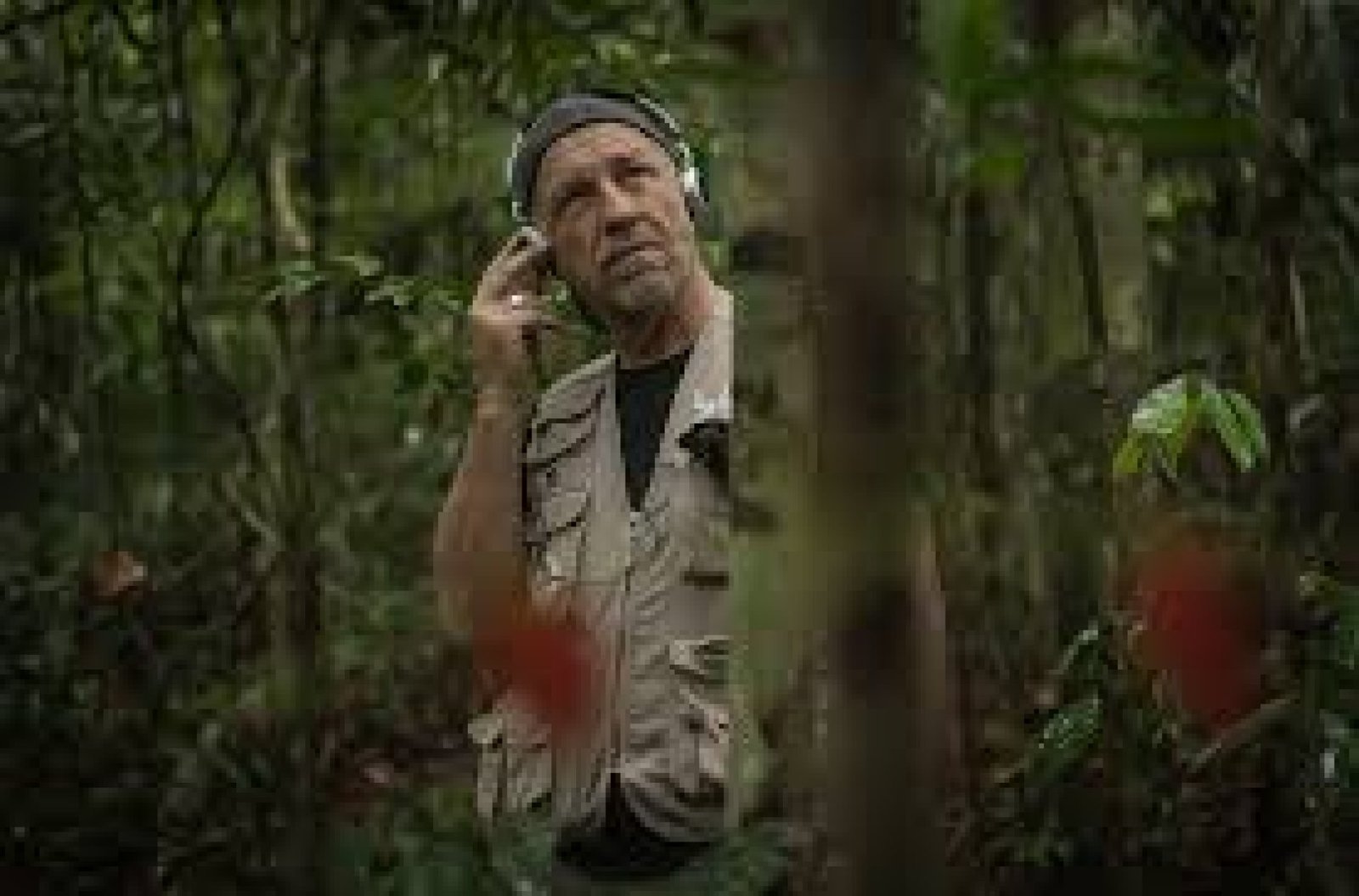 Sonidos de la Selva: Turismo de Naturaleza y Grabación de Fauna en la Amazonía