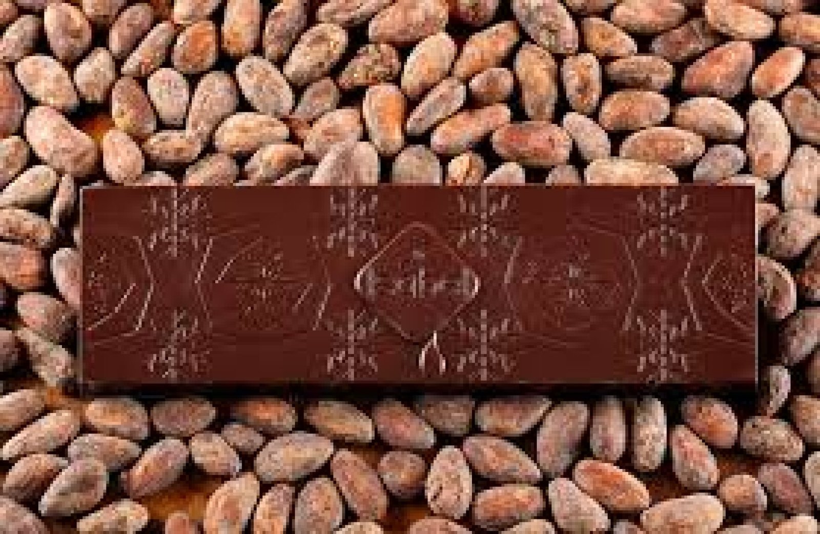 Talleres de chocolate artesanal en Ecuador: del cacao a la tableta