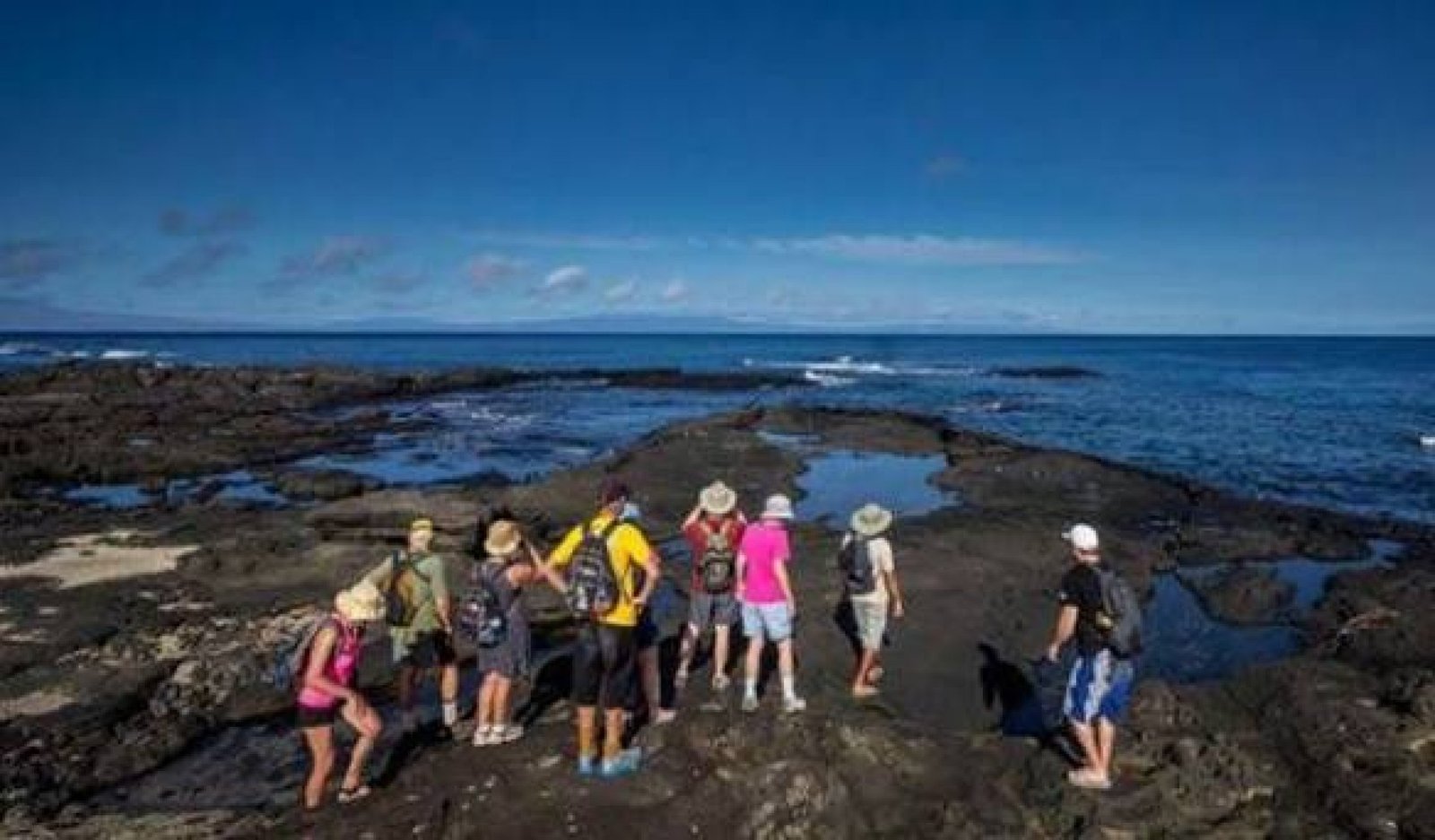 Tour Seymour Norte Galápagos | Turismo Ecuador 24